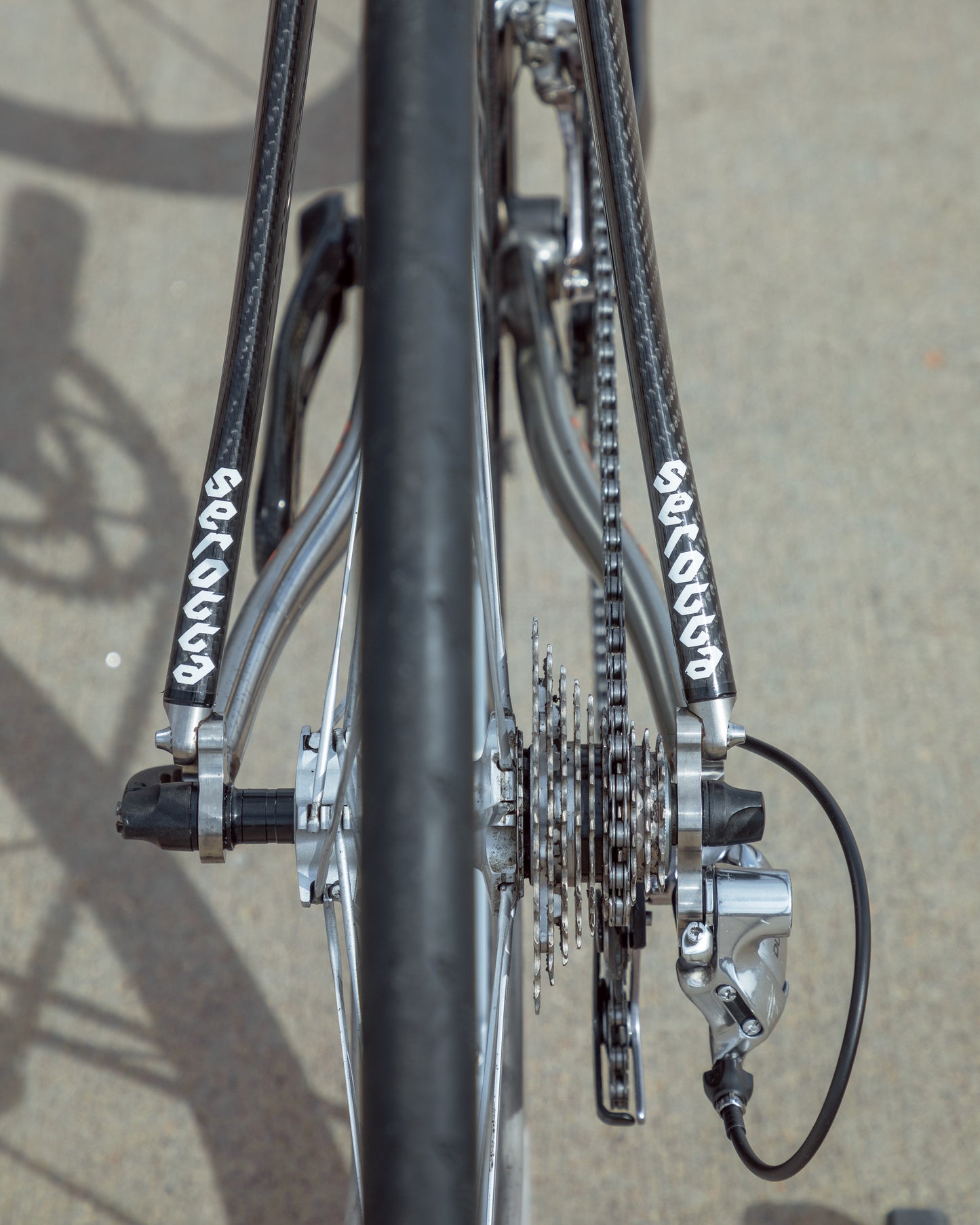 Serotta Legend Ti / Sierra Nevada Team Colors