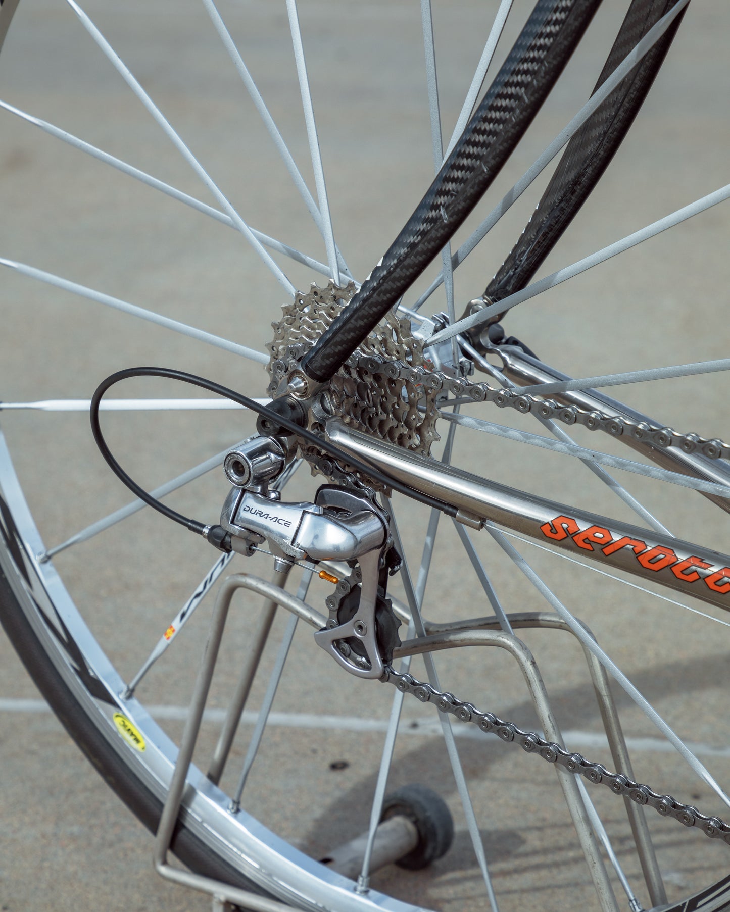 Serotta Legend Ti / Sierra Nevada Team Colors