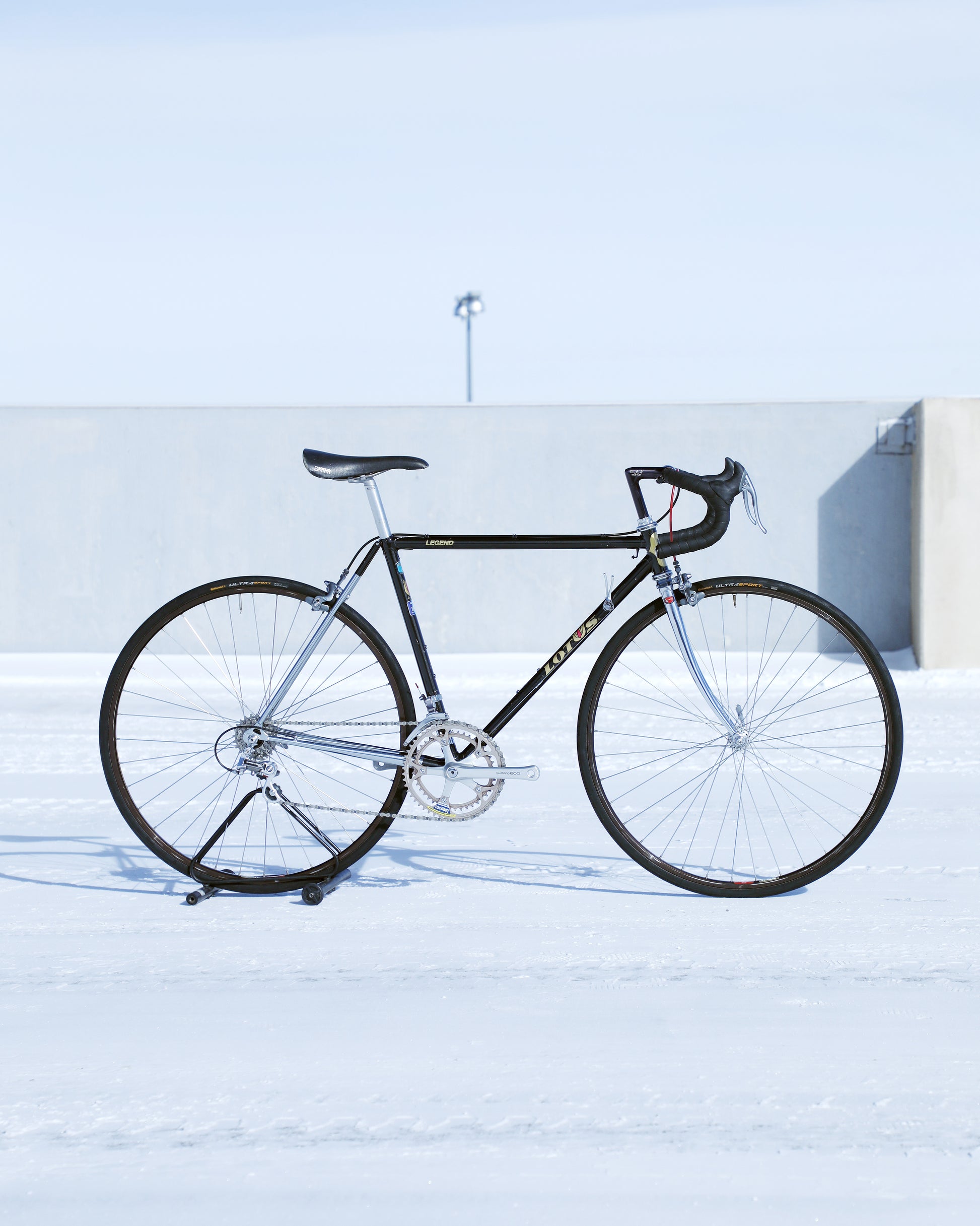 Lotus Legend – Ben's Cycles Denver