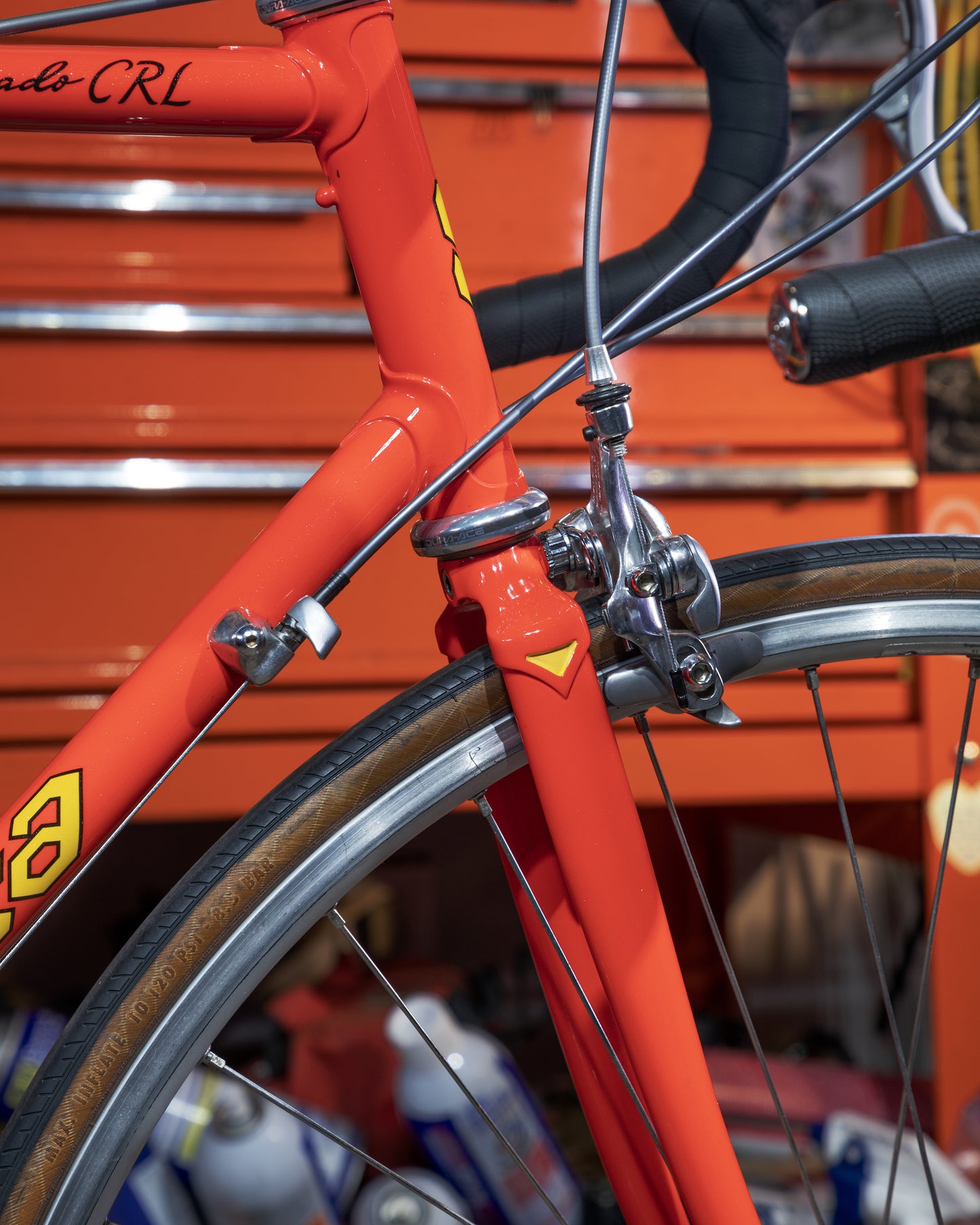 Serotta Colorado CRL