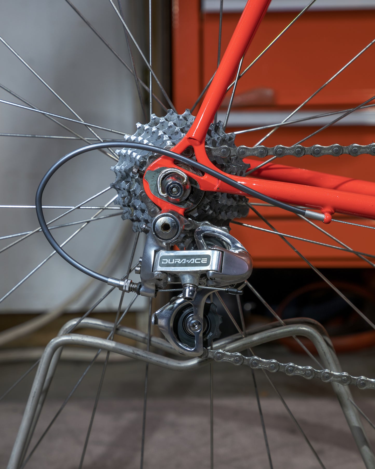 Serotta Colorado CRL