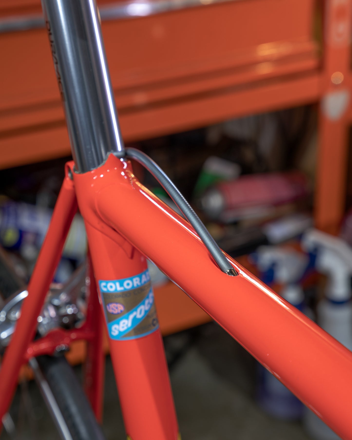 Serotta Colorado CRL