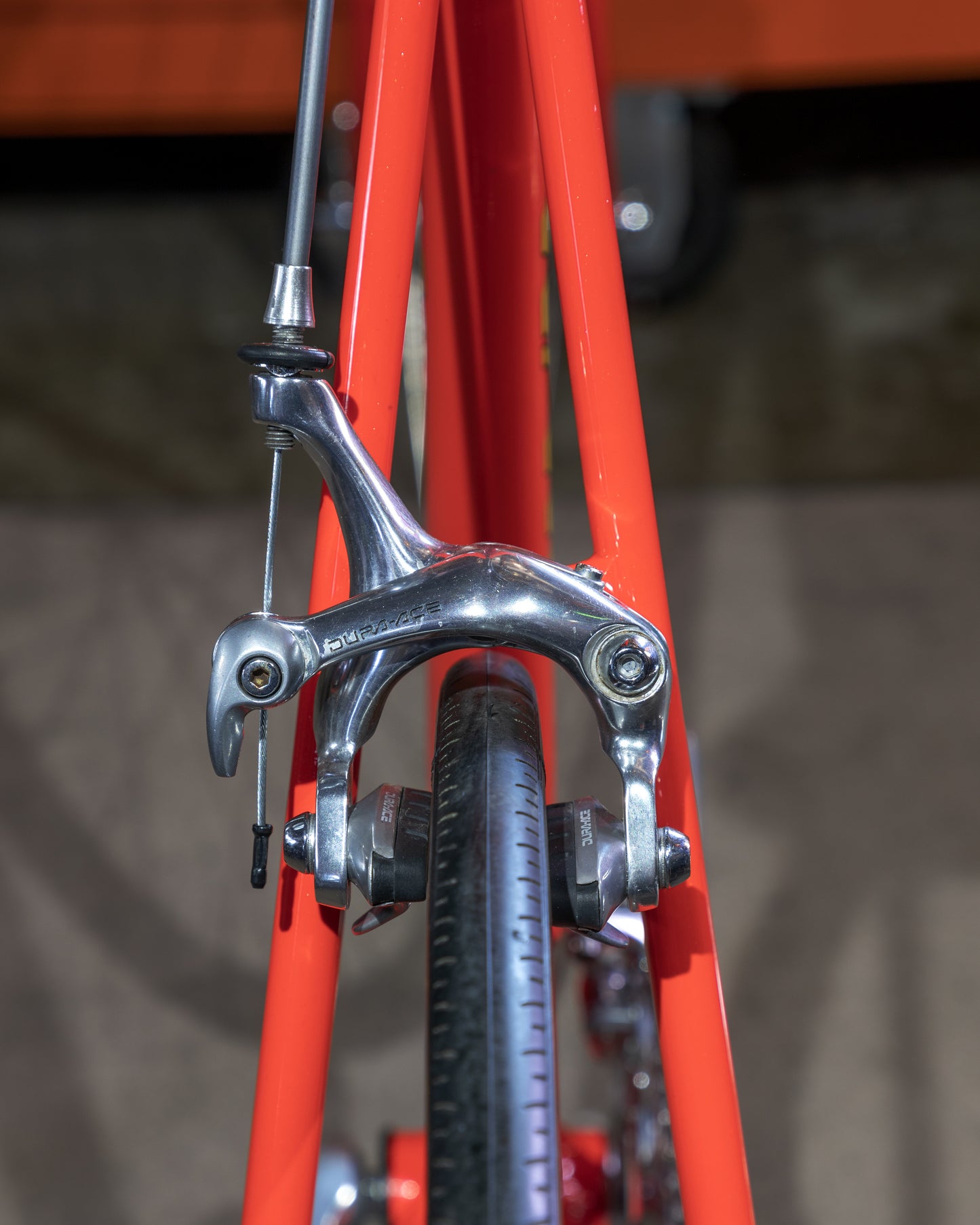 Serotta Colorado CRL