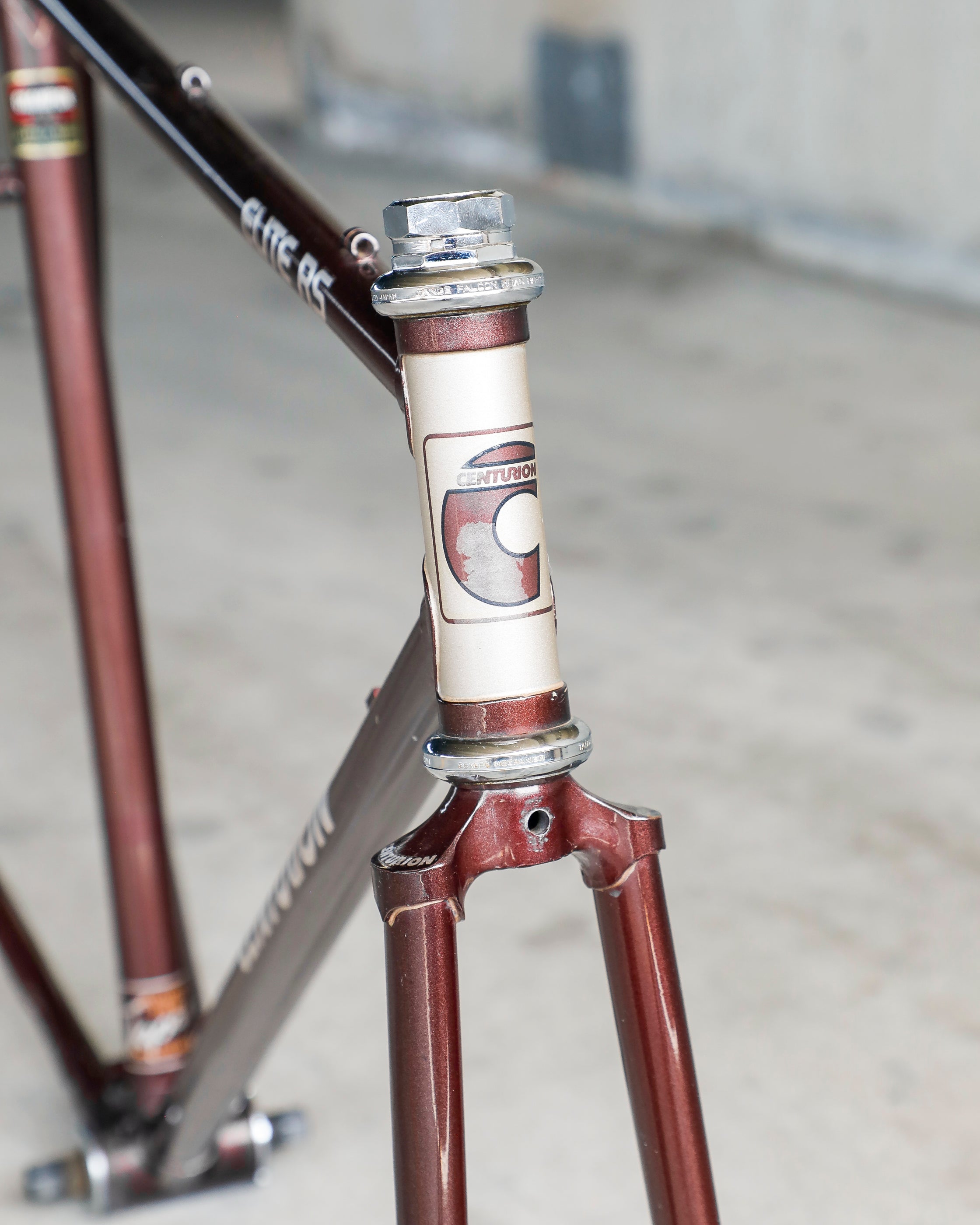 Centurion Elite RS – Ben's Cycles Denver