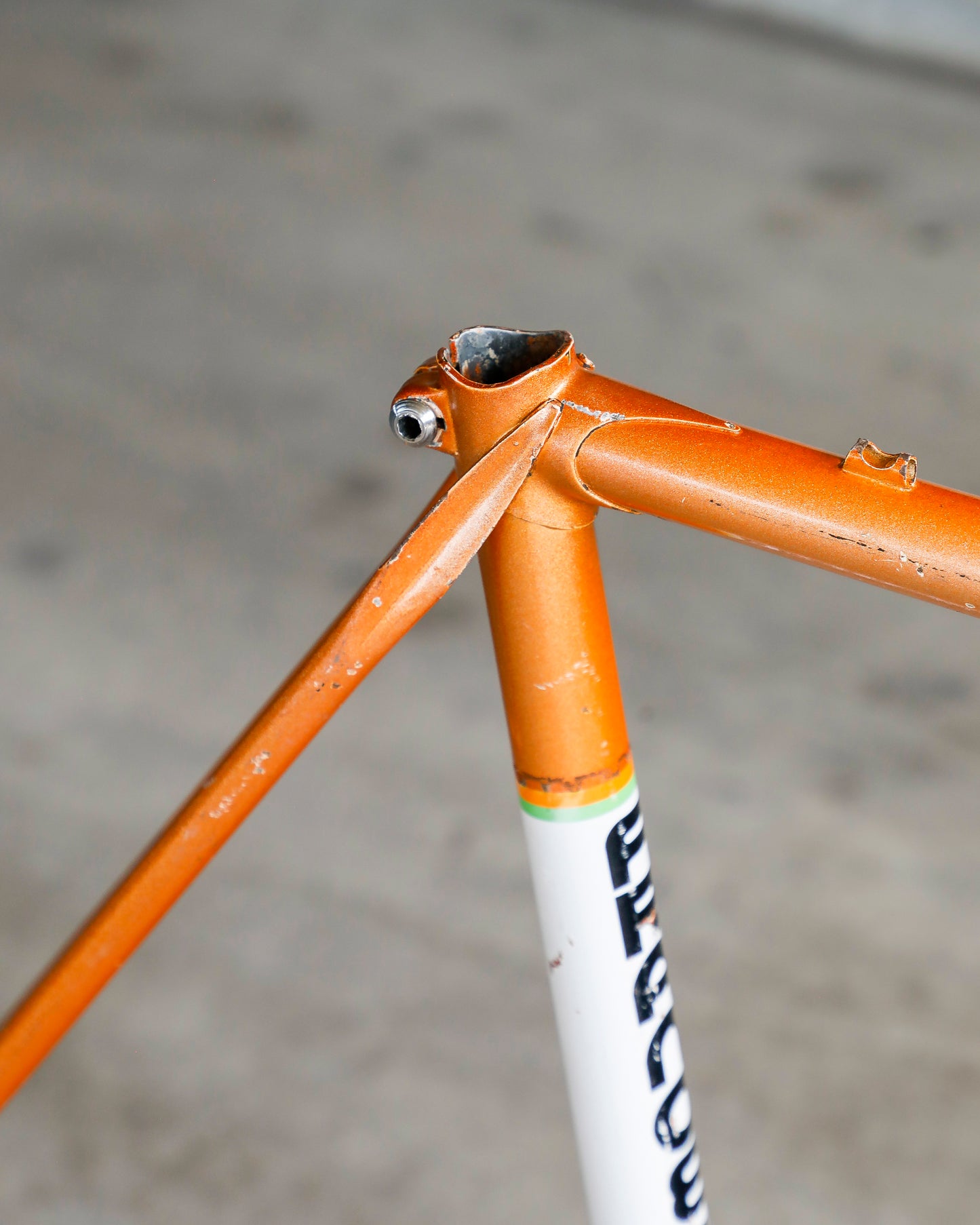 France-Loire Super Vitus 980