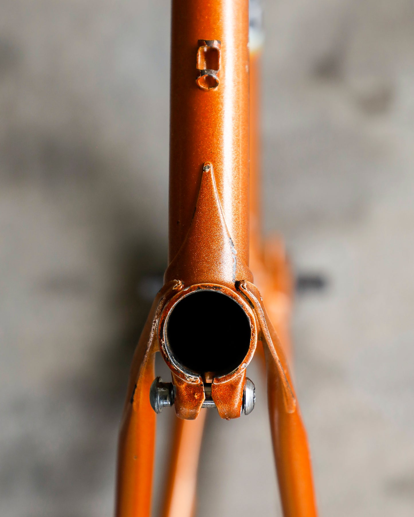 France-Loire Super Vitus 980