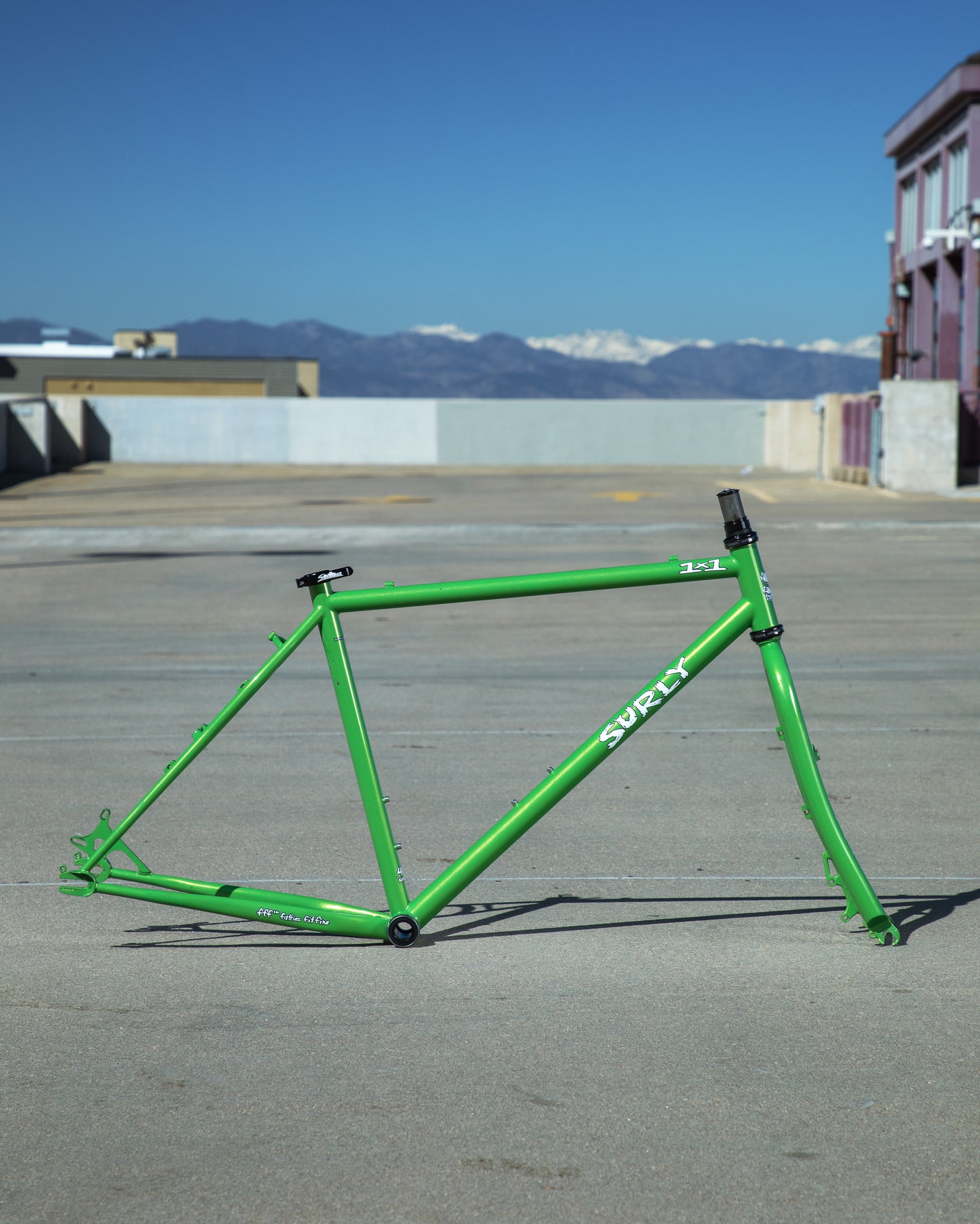 Surly 1x1