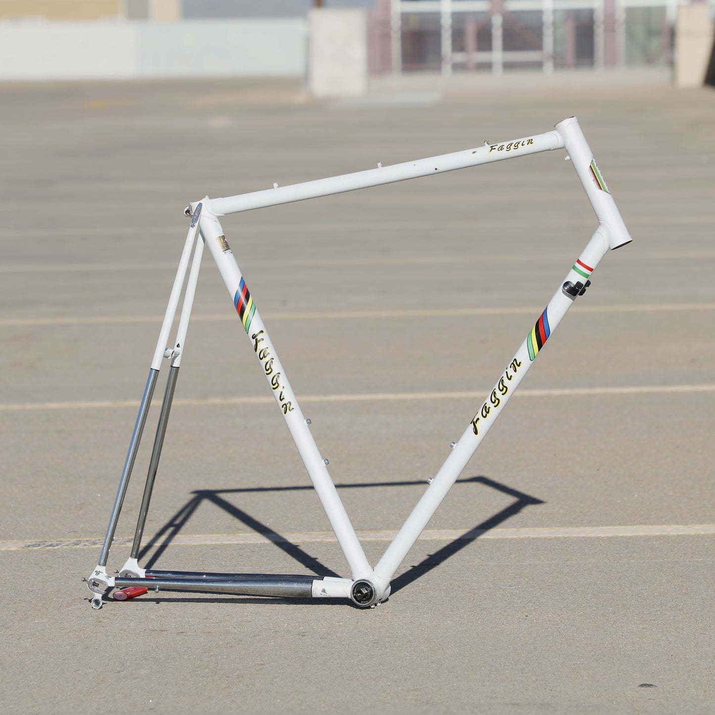 Faggin Campione del Mondo