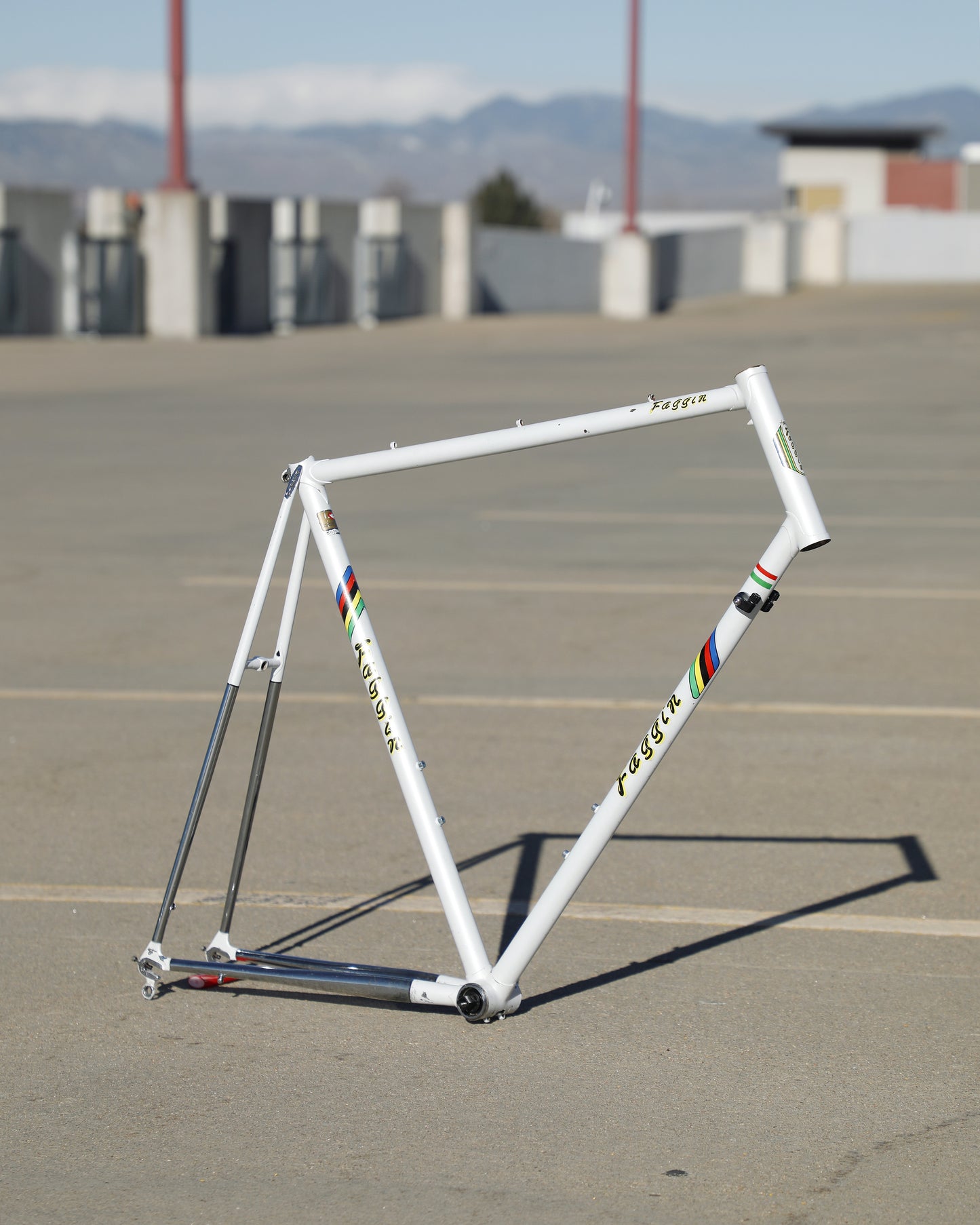 Faggin Campione del Mondo