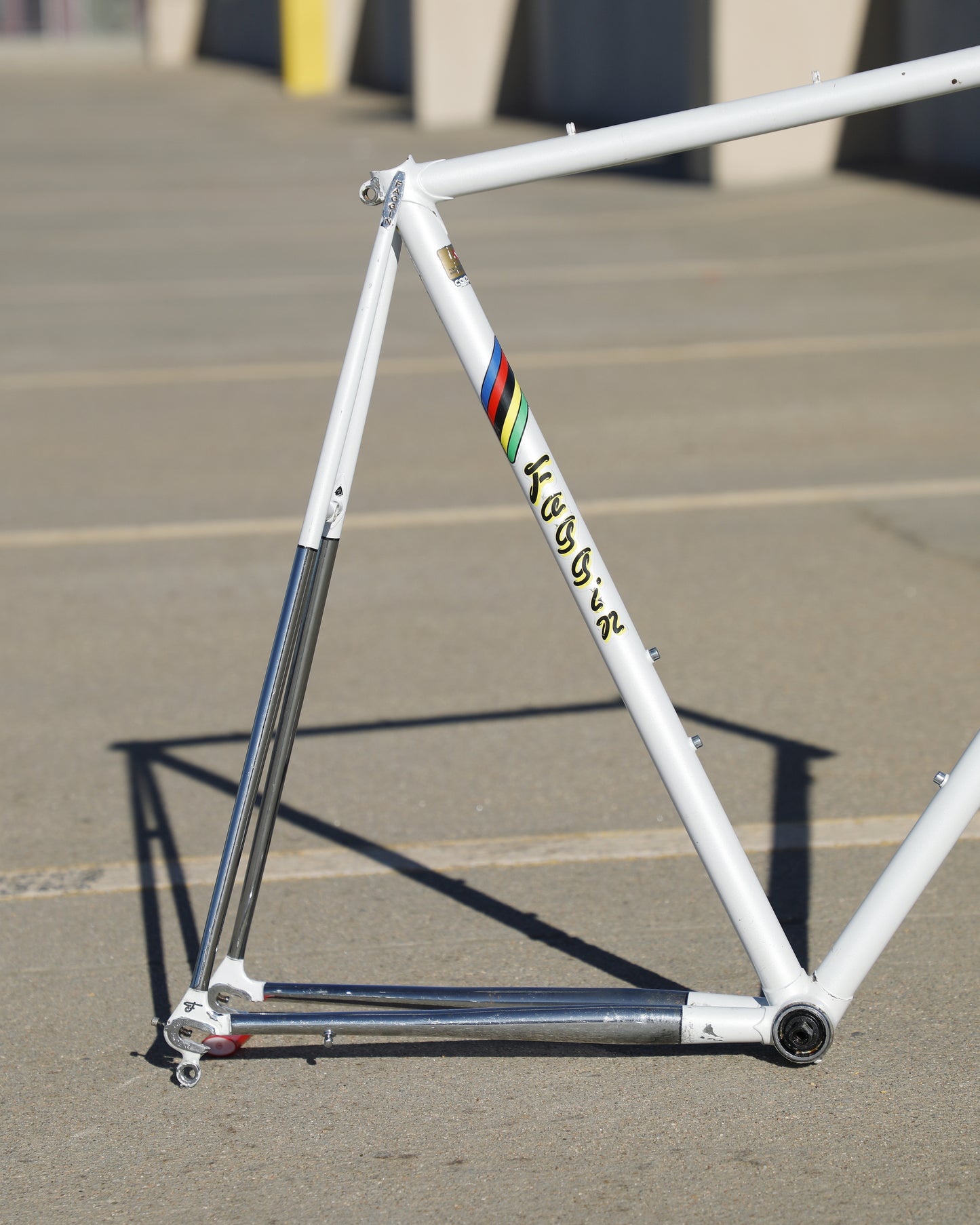 Faggin Campione del Mondo