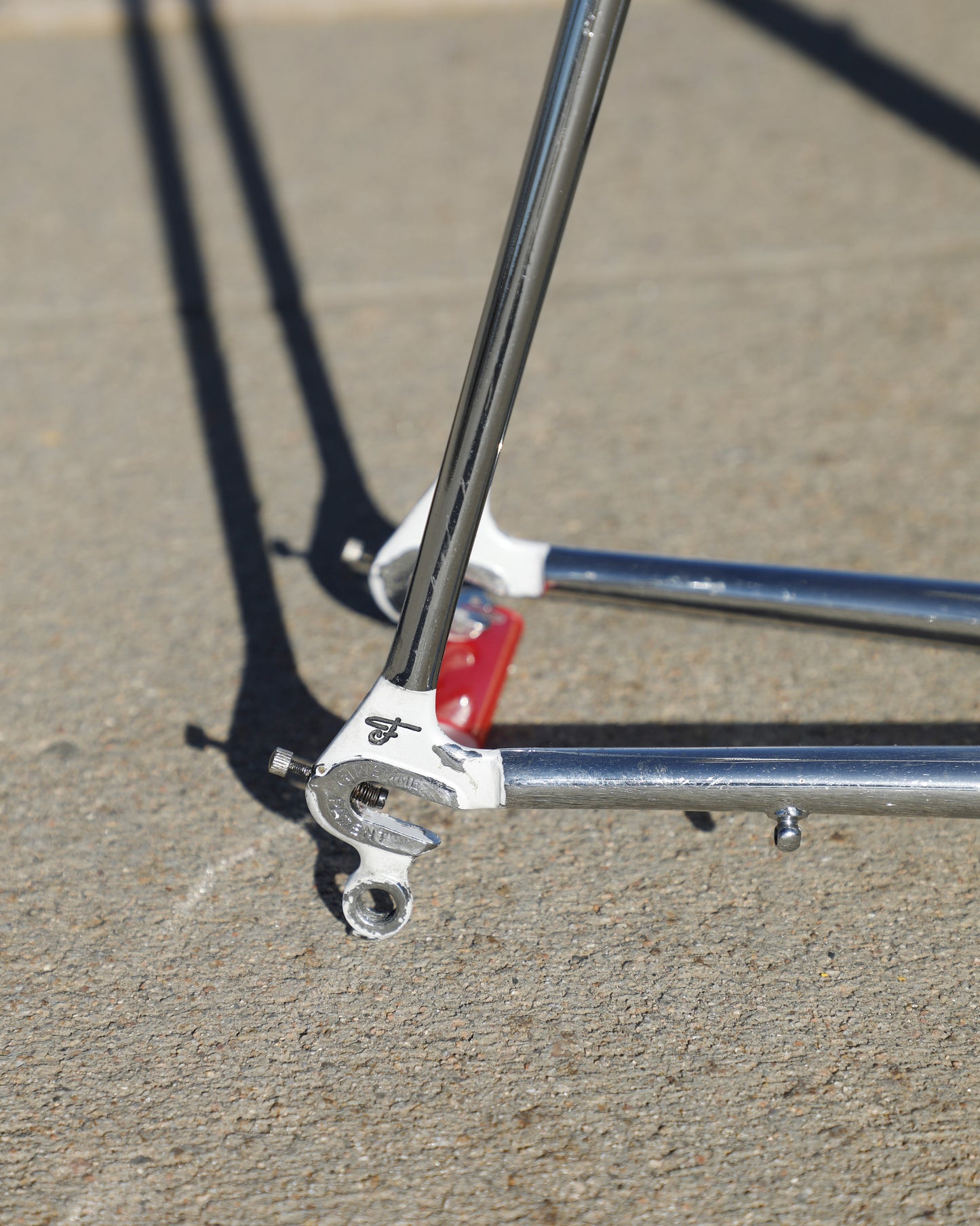 Faggin Campione del Mondo