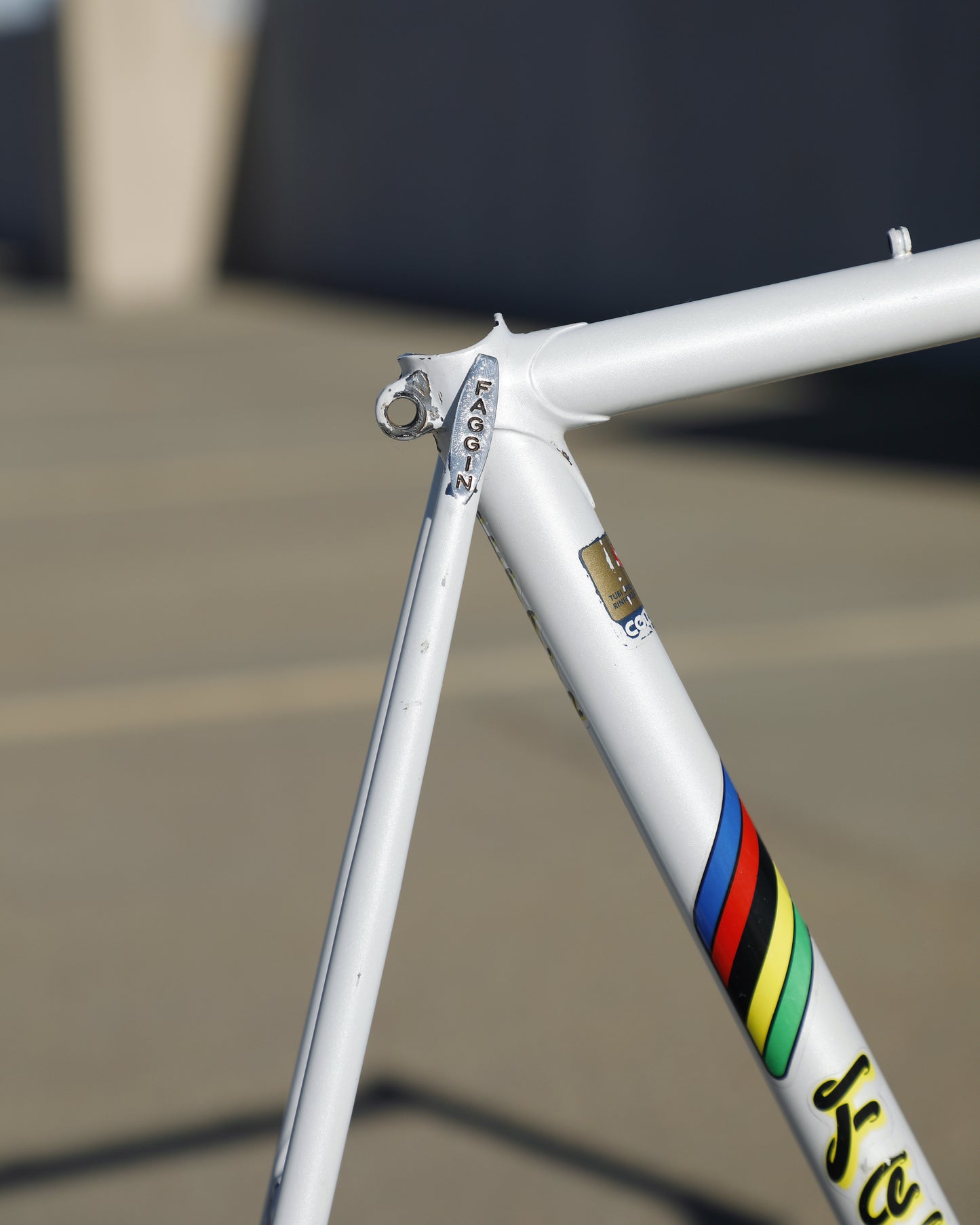 Faggin Campione del Mondo