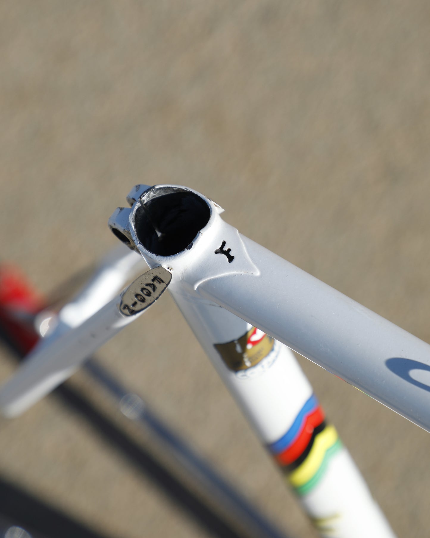 Faggin Campione del Mondo