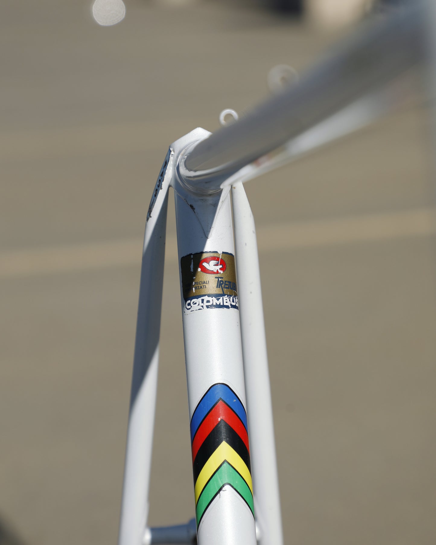 Faggin Campione del Mondo