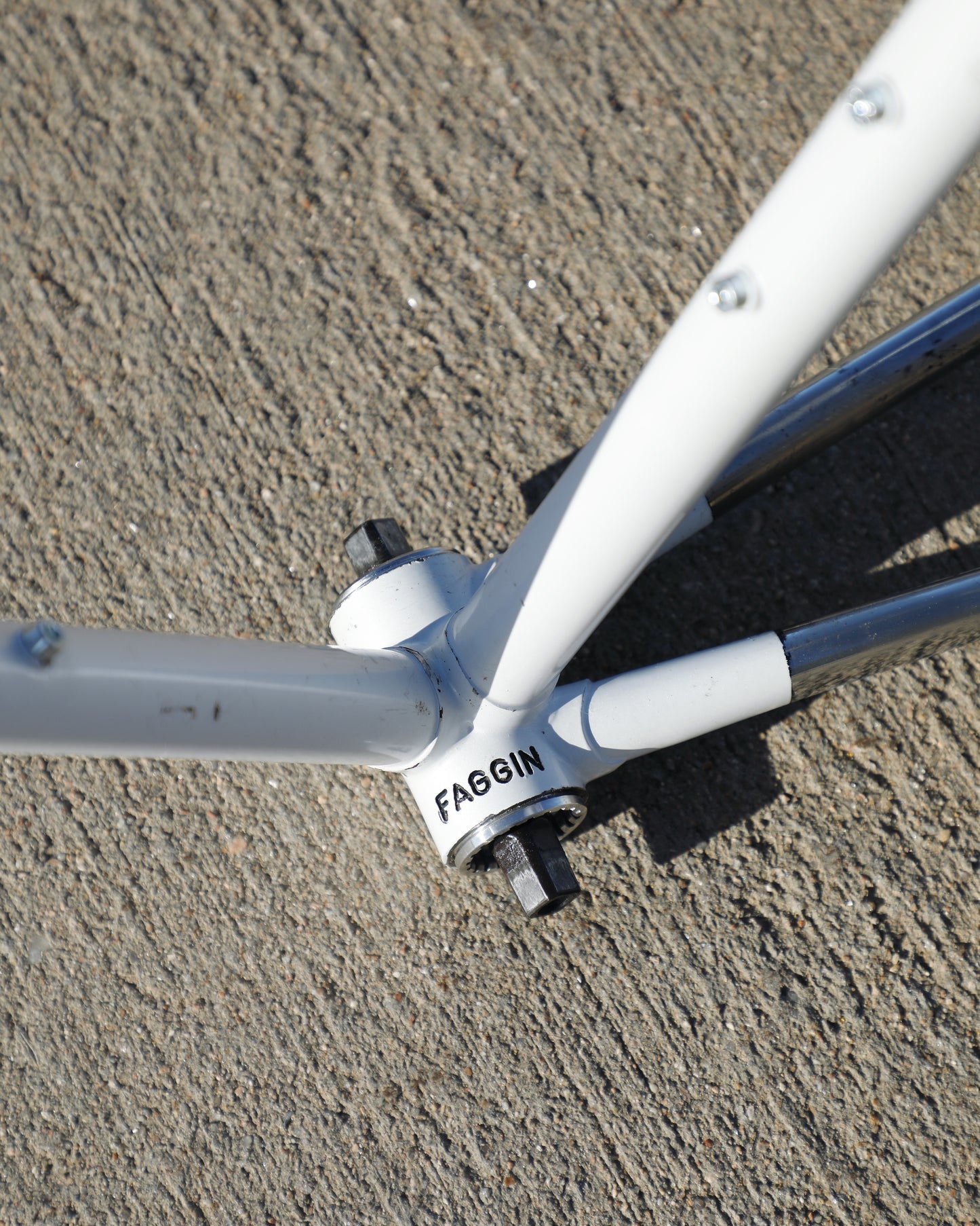 Faggin Campione del Mondo