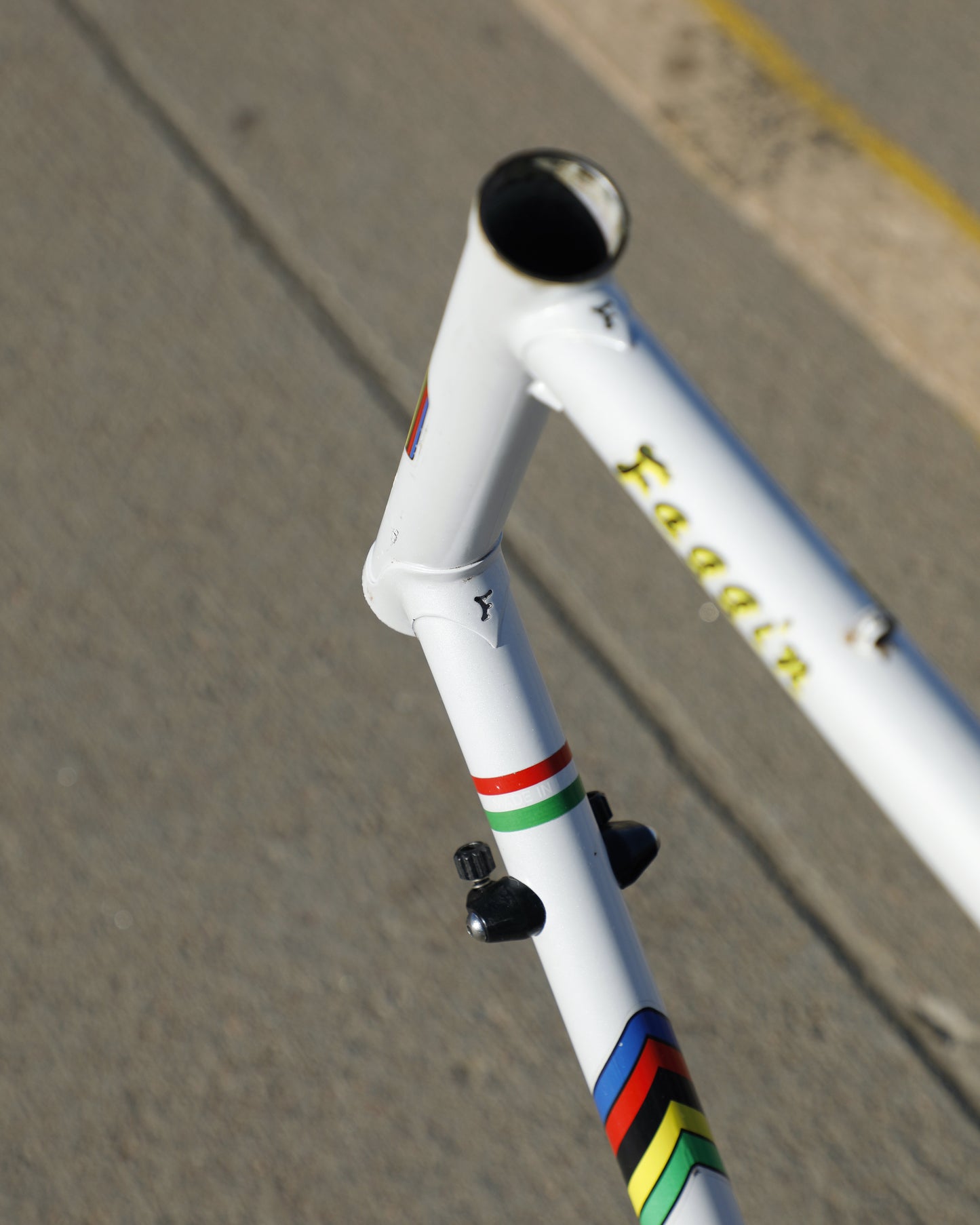 Faggin Campione del Mondo