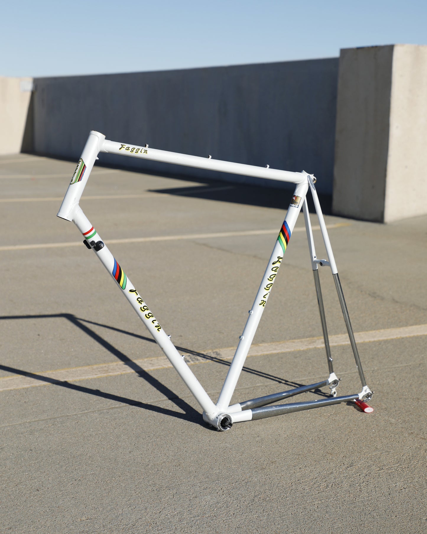 Faggin Campione del Mondo