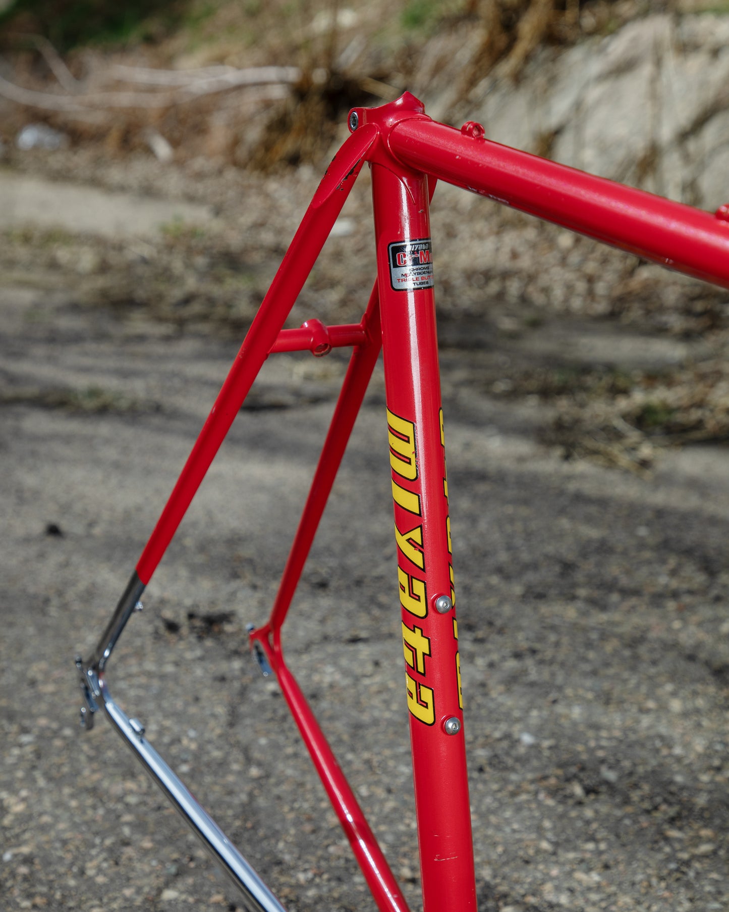 Miyata Pro