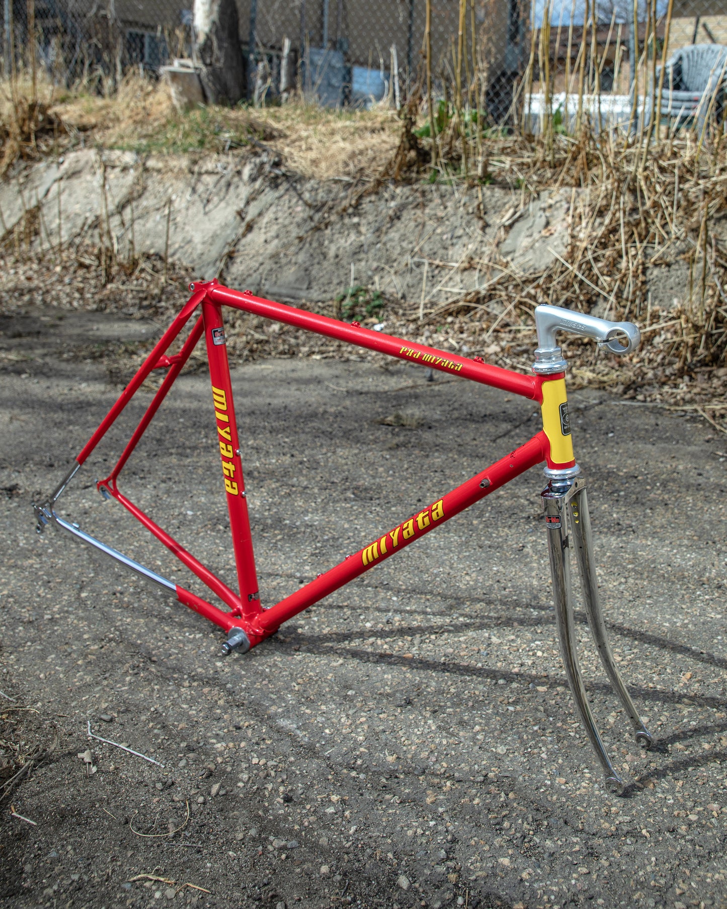 Miyata Pro