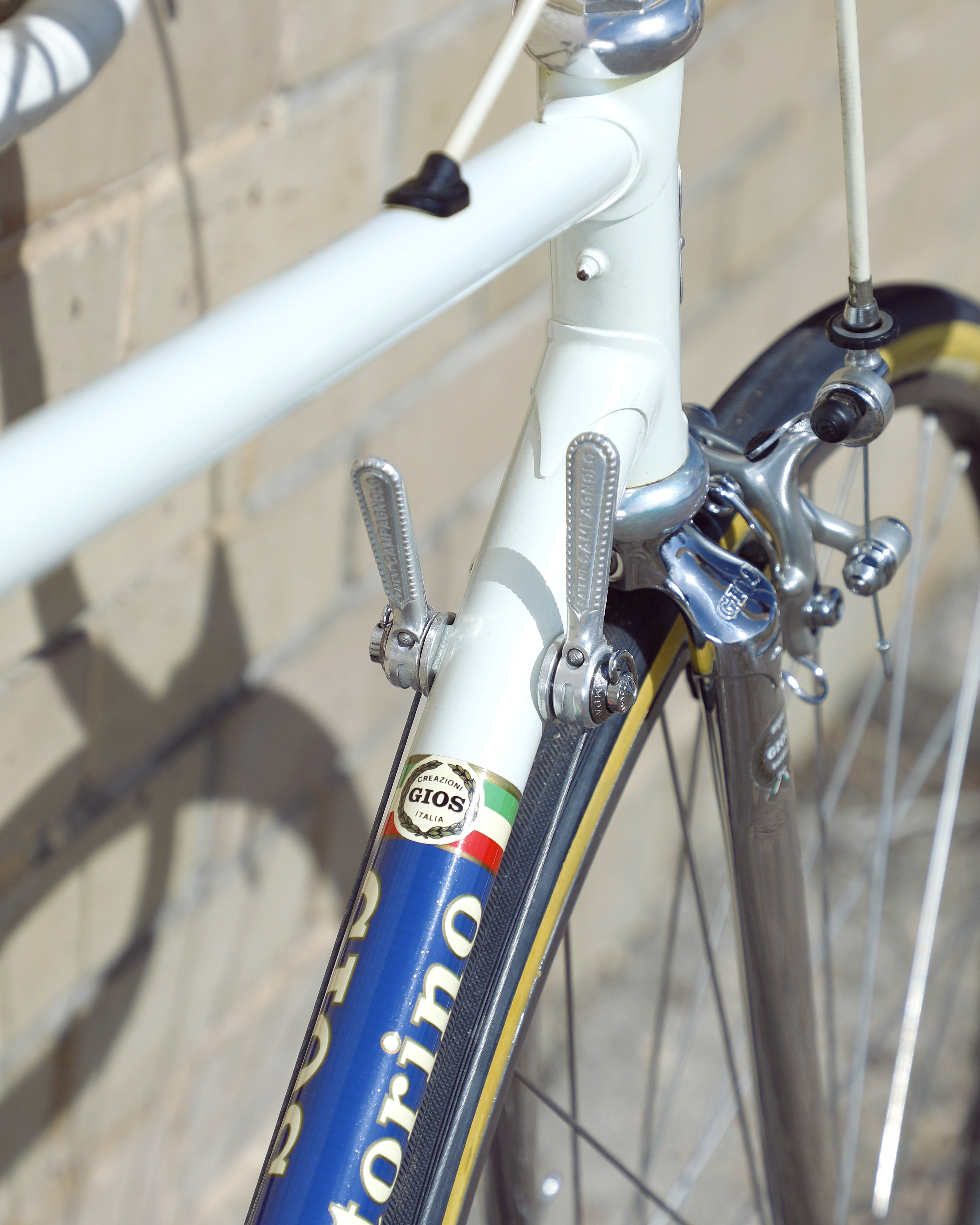 Gios Torino Professional – Ben's Cycles Denver
