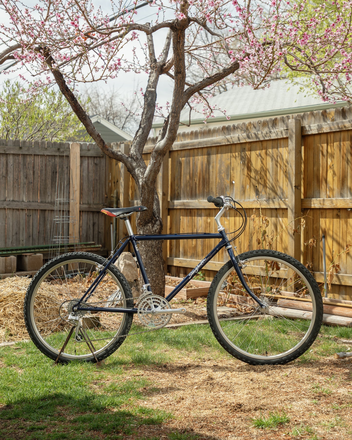 Specialized Stumpjumper