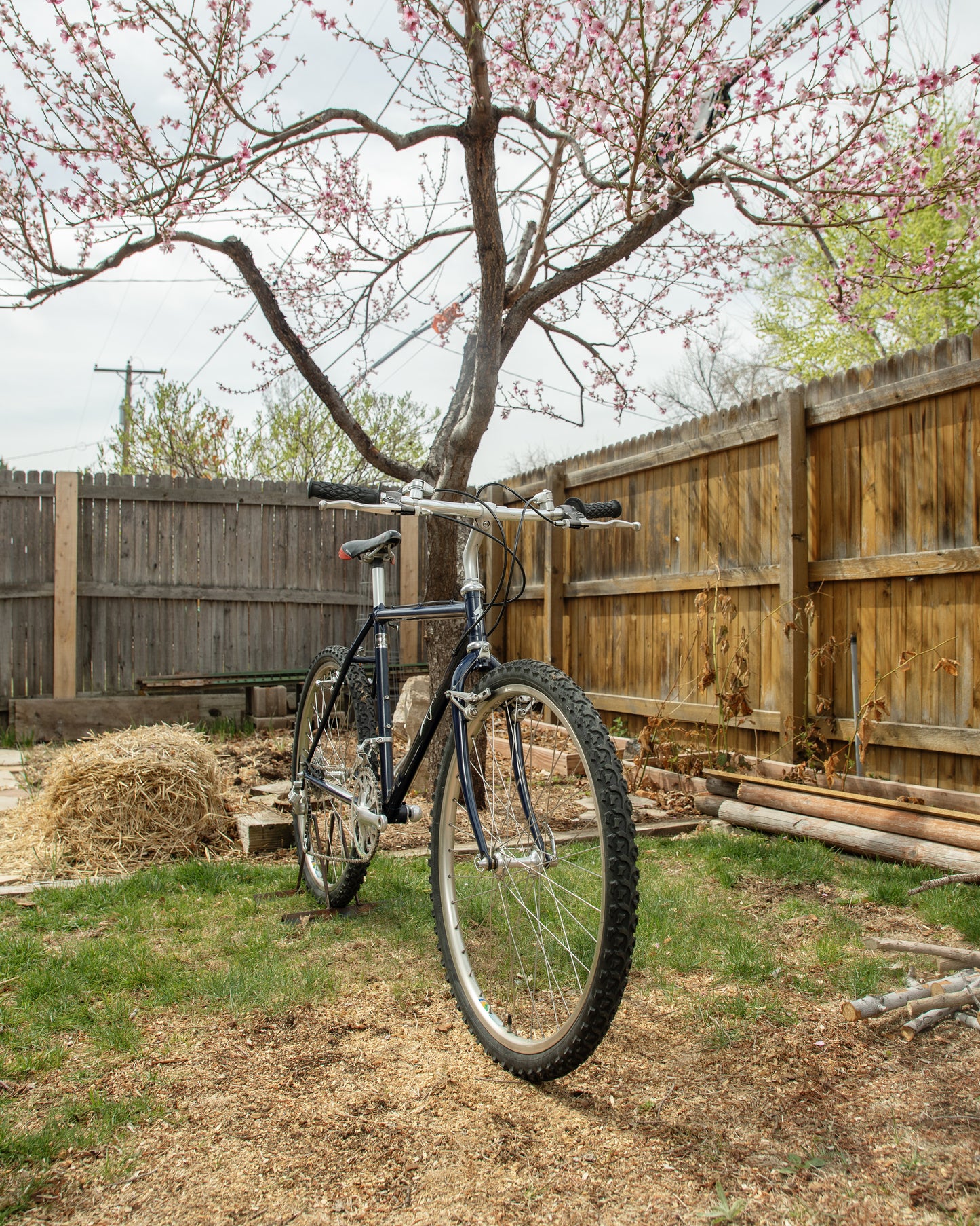 Specialized Stumpjumper