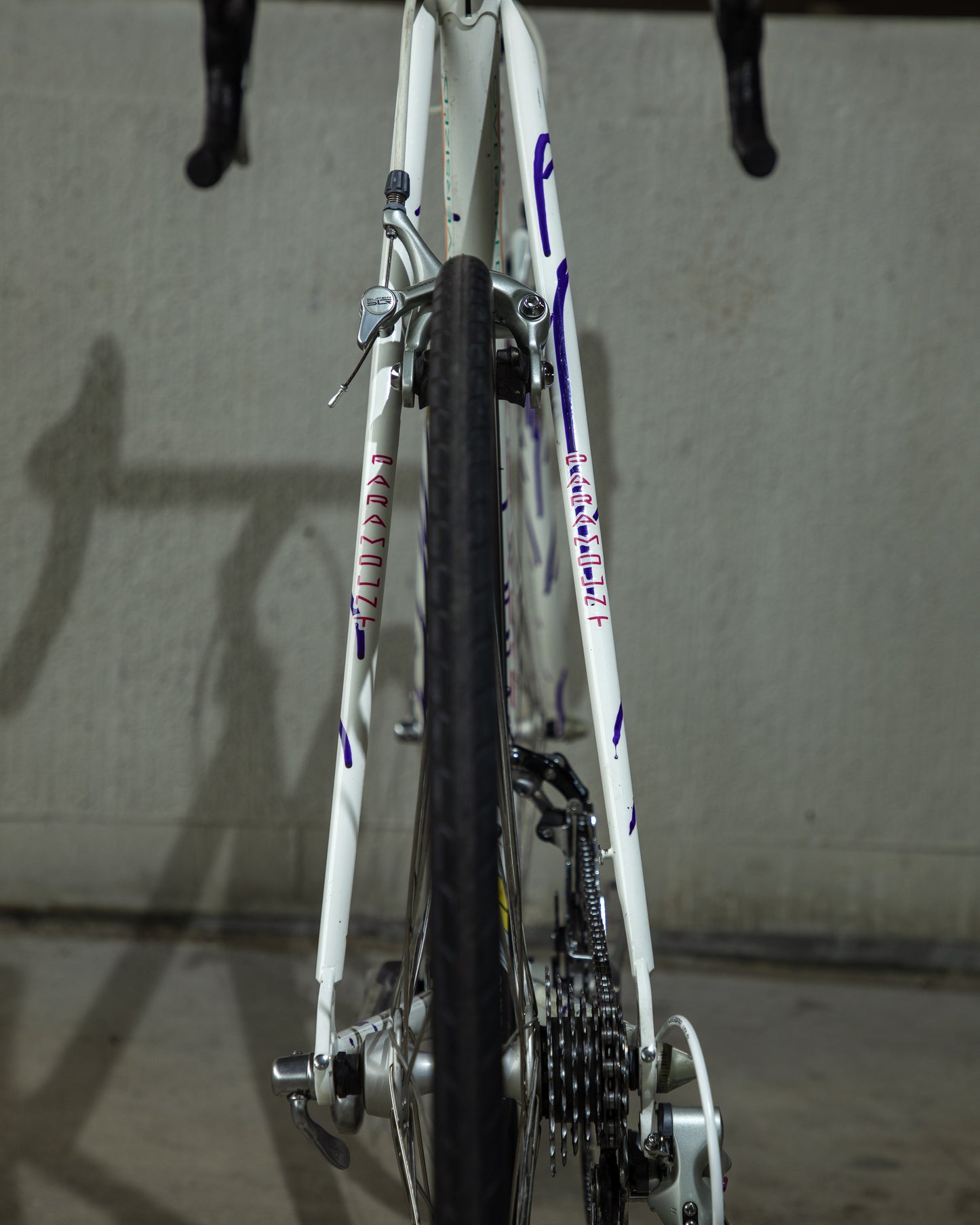 Schwinn Paramount Series 5