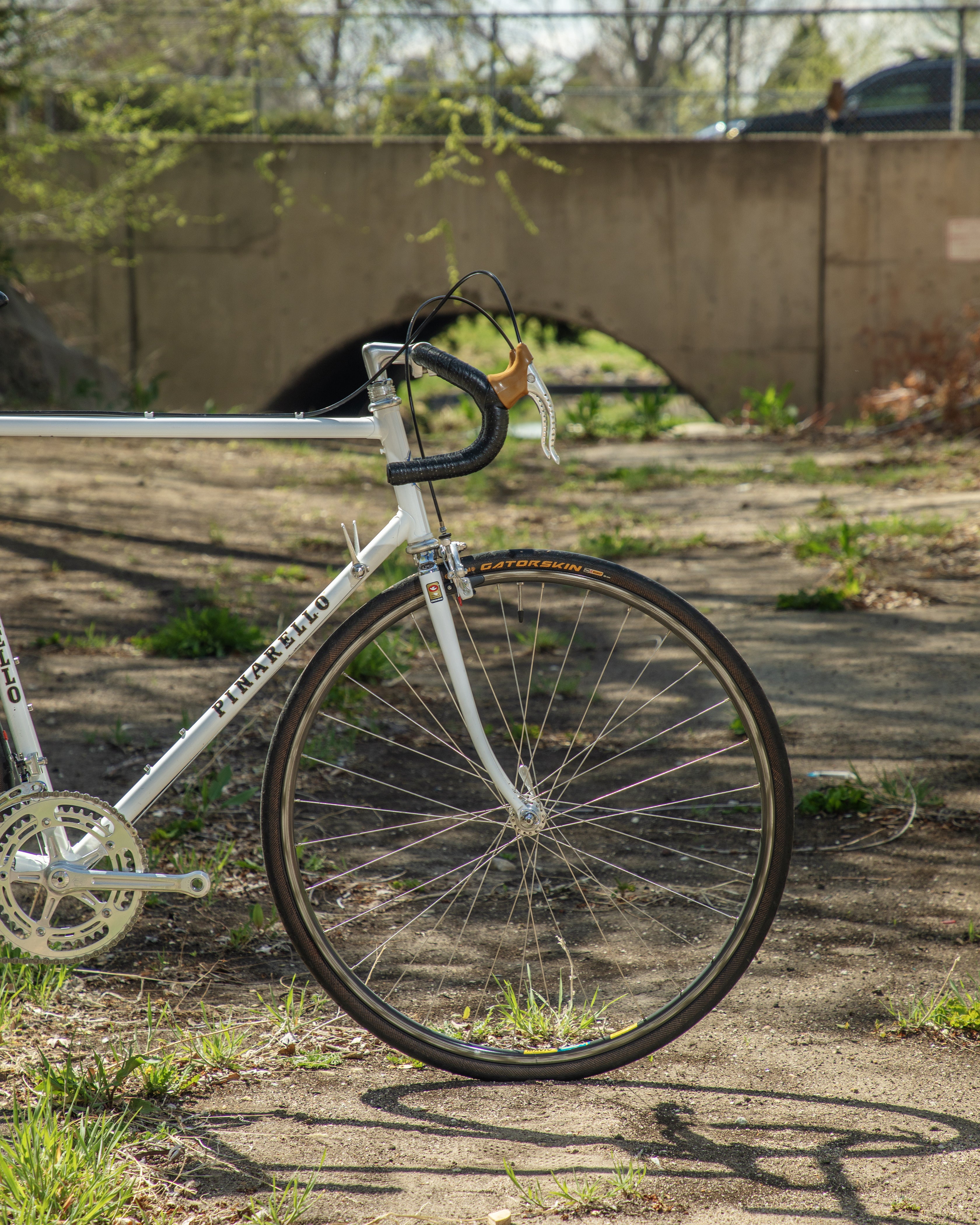 Pinarello Treviso – Ben's Cycles Denver