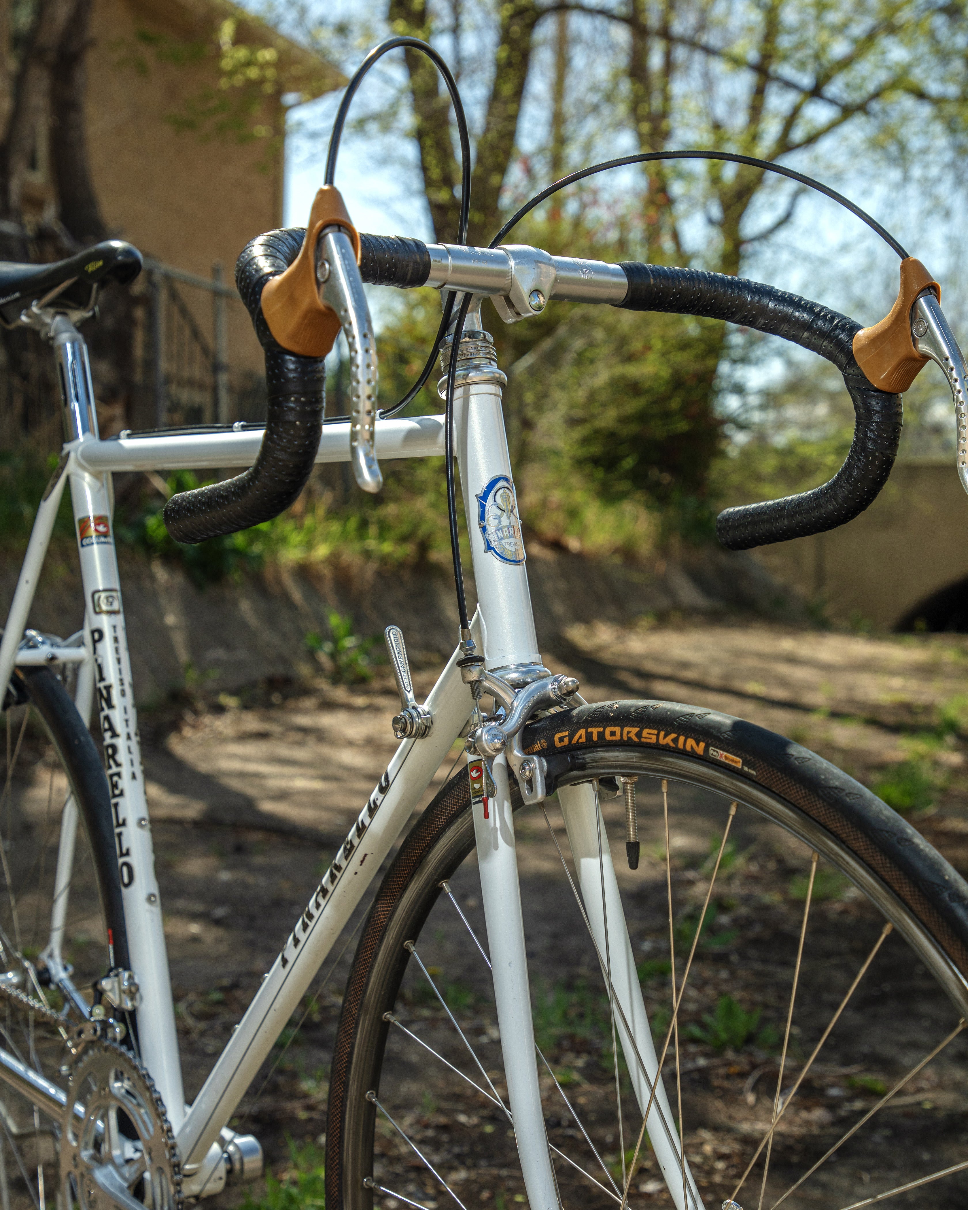 Pinarello Treviso – Ben's Cycles Denver