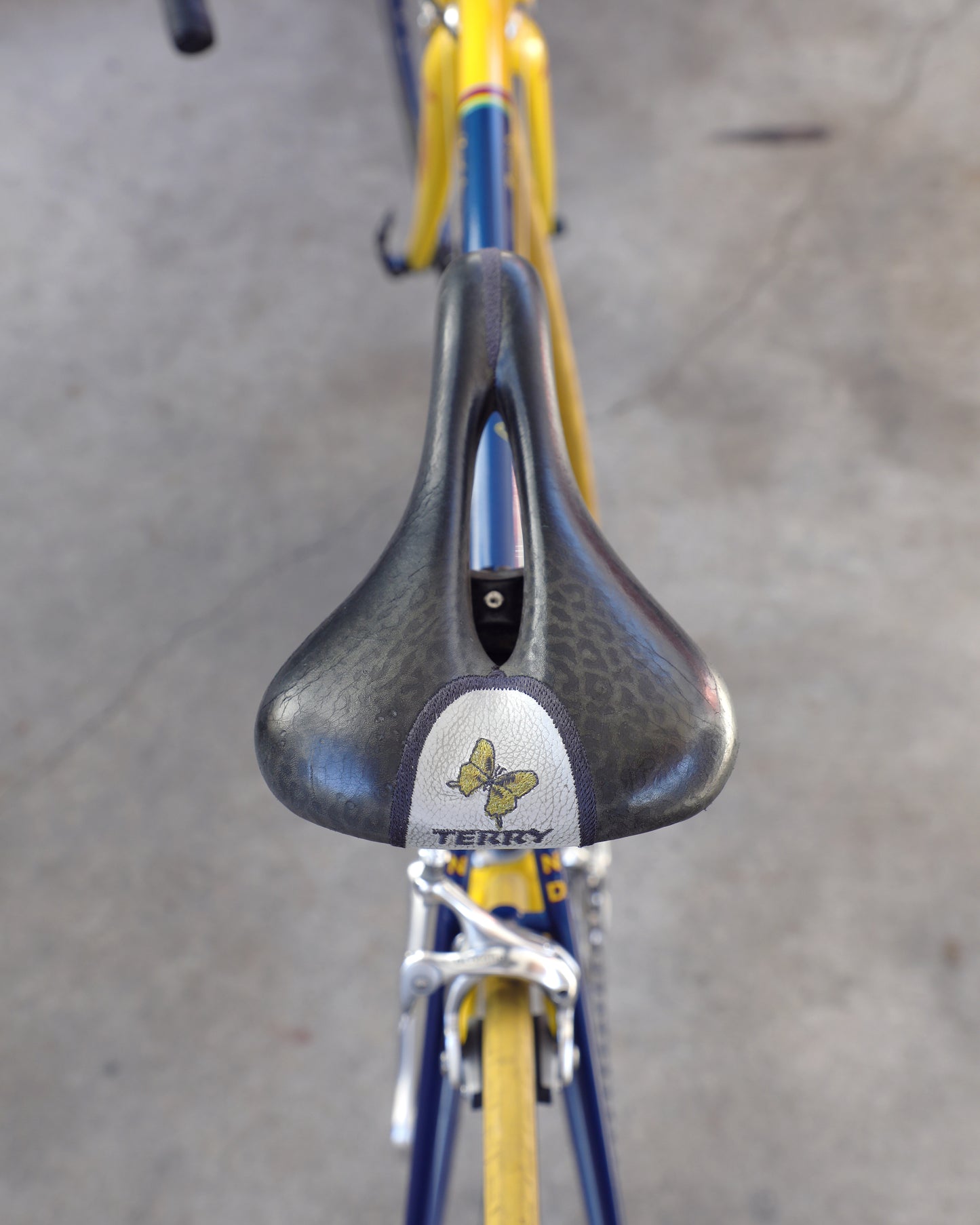 Lemond Zurich