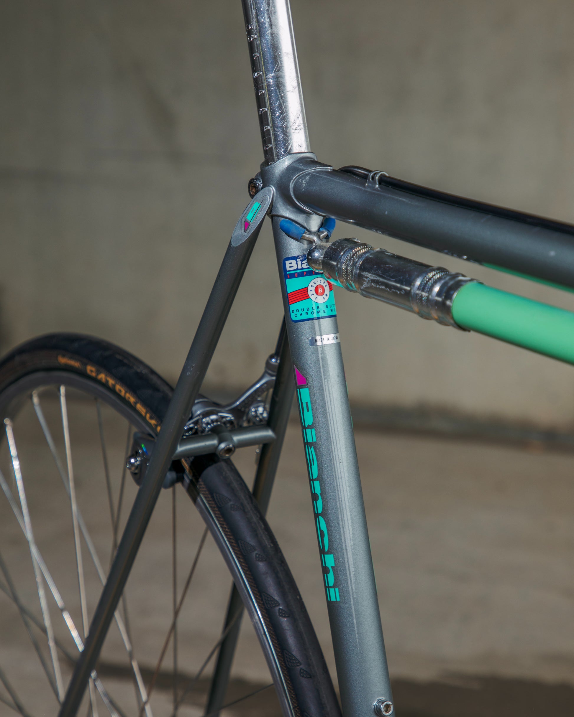 bianchi bicycle parts Bianchi Limited – Ben's Cycles Denver