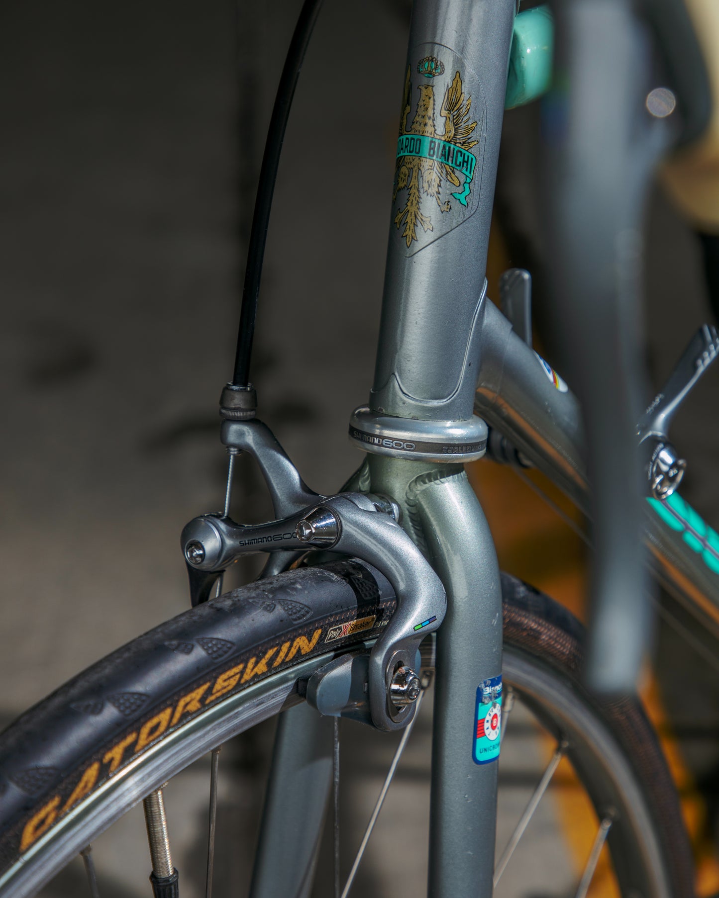 Bianchi Limited