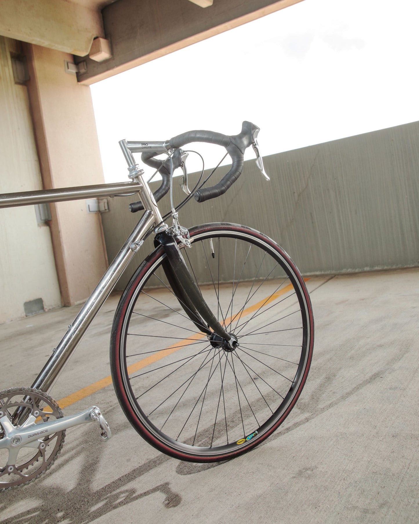 Mongoose Pro RX 10.9