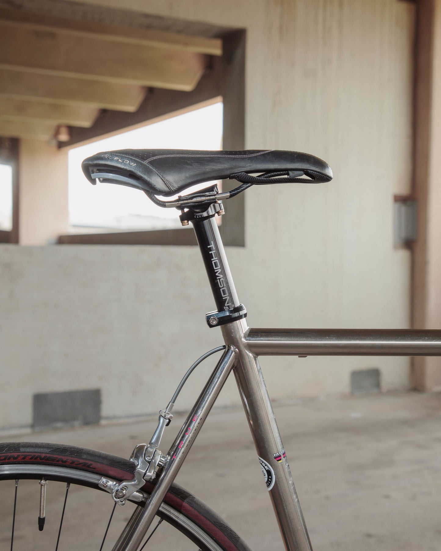 Mongoose Pro RX 10.9