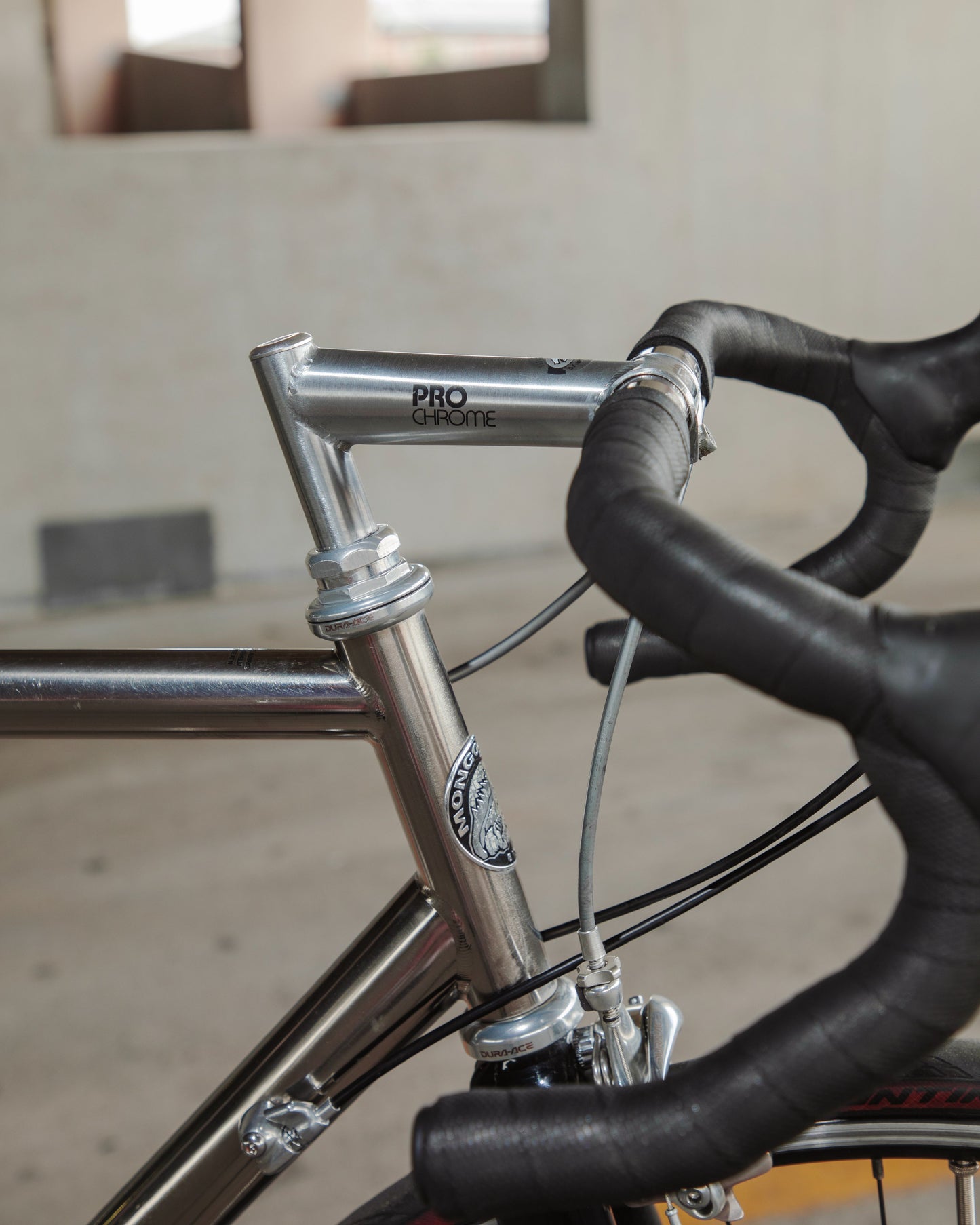 Mongoose Pro RX 10.9