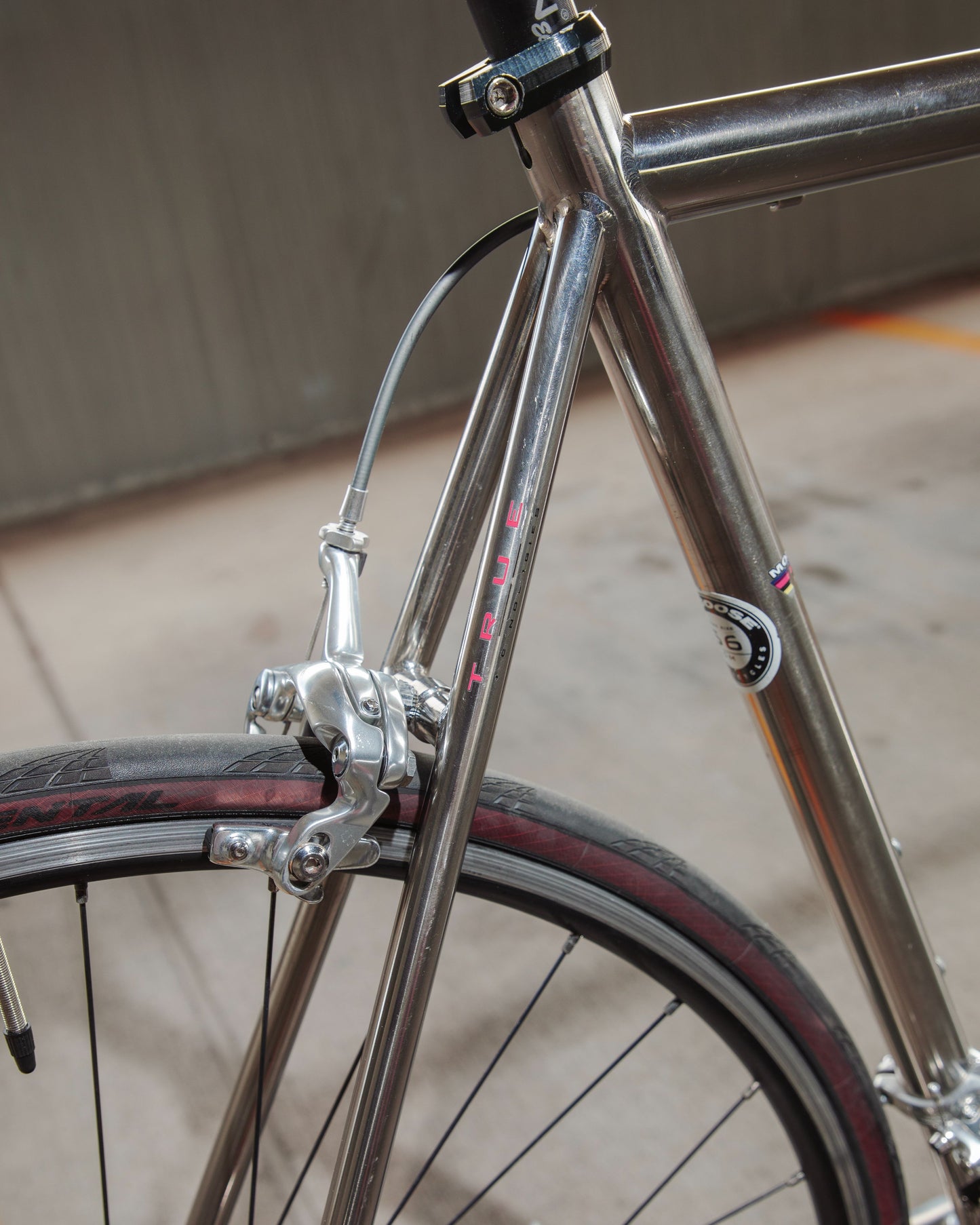 Mongoose Pro RX 10.9