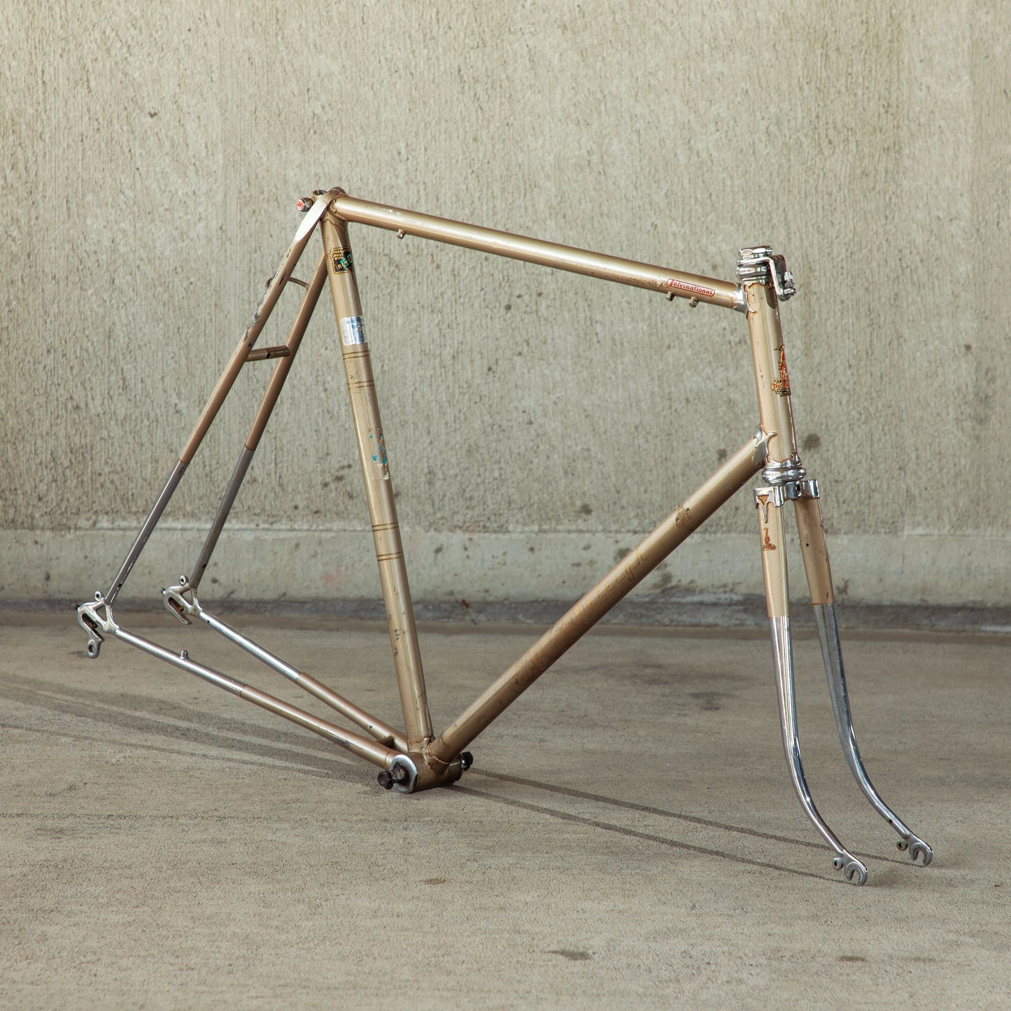 Raleigh International