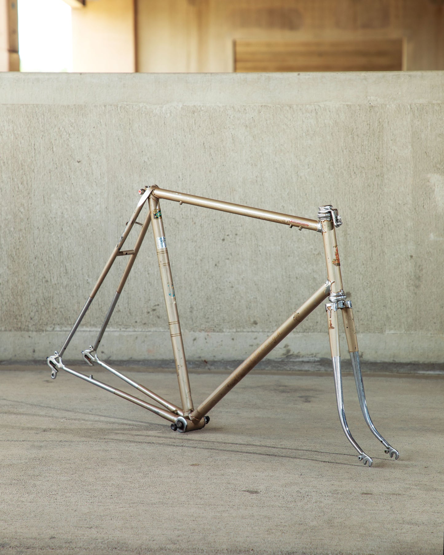 Raleigh International