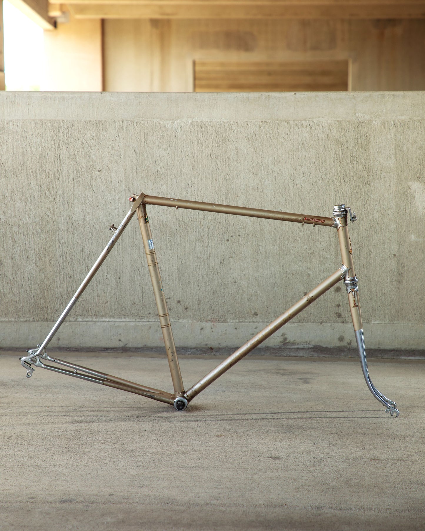 Raleigh International