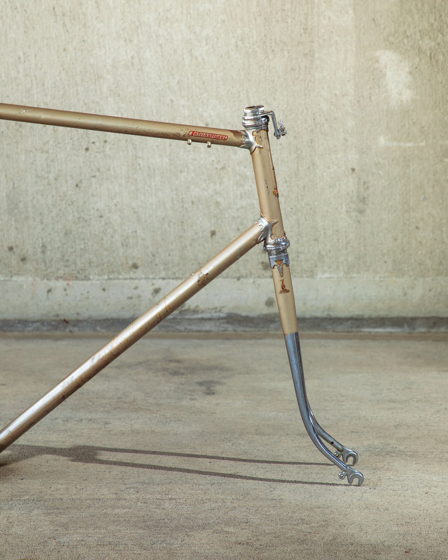 Raleigh International