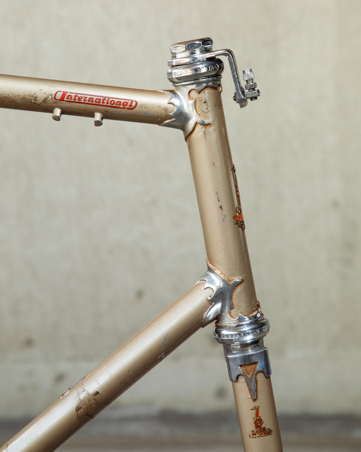 Raleigh International