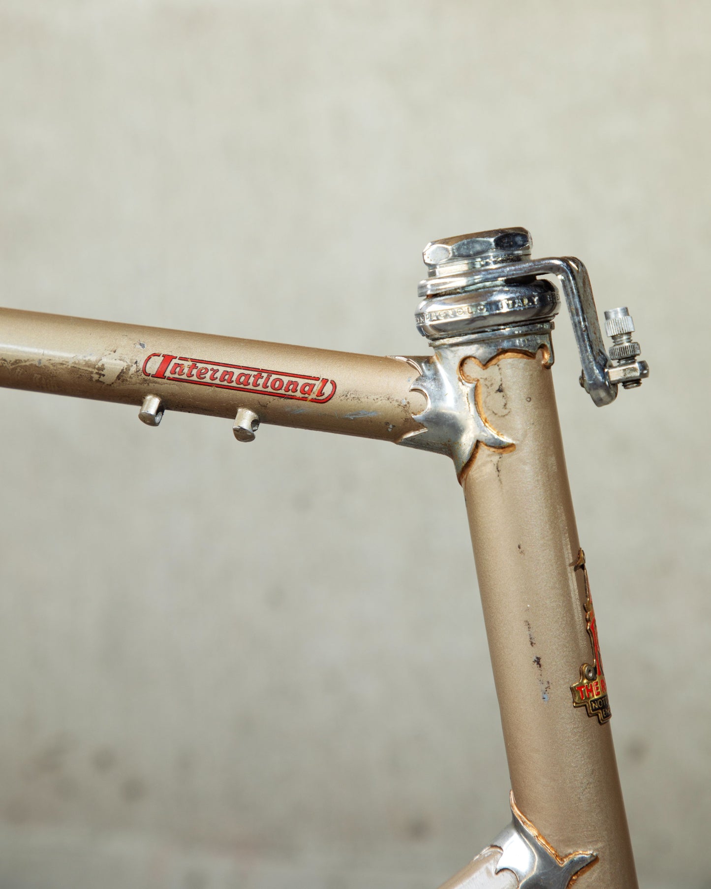 Raleigh International