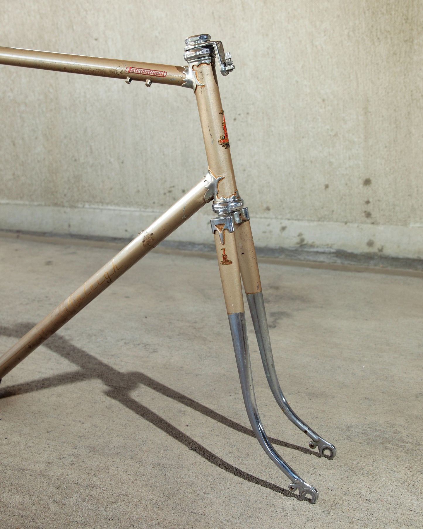 Raleigh International