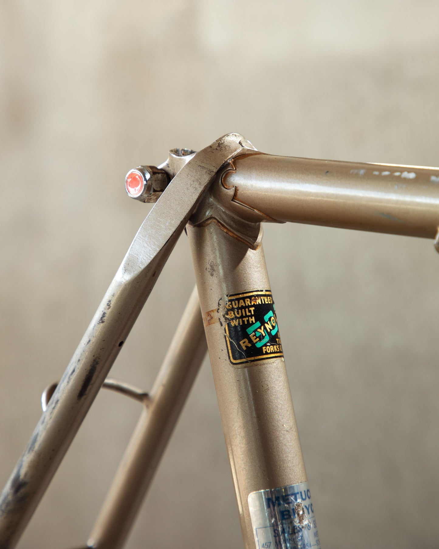 Raleigh International