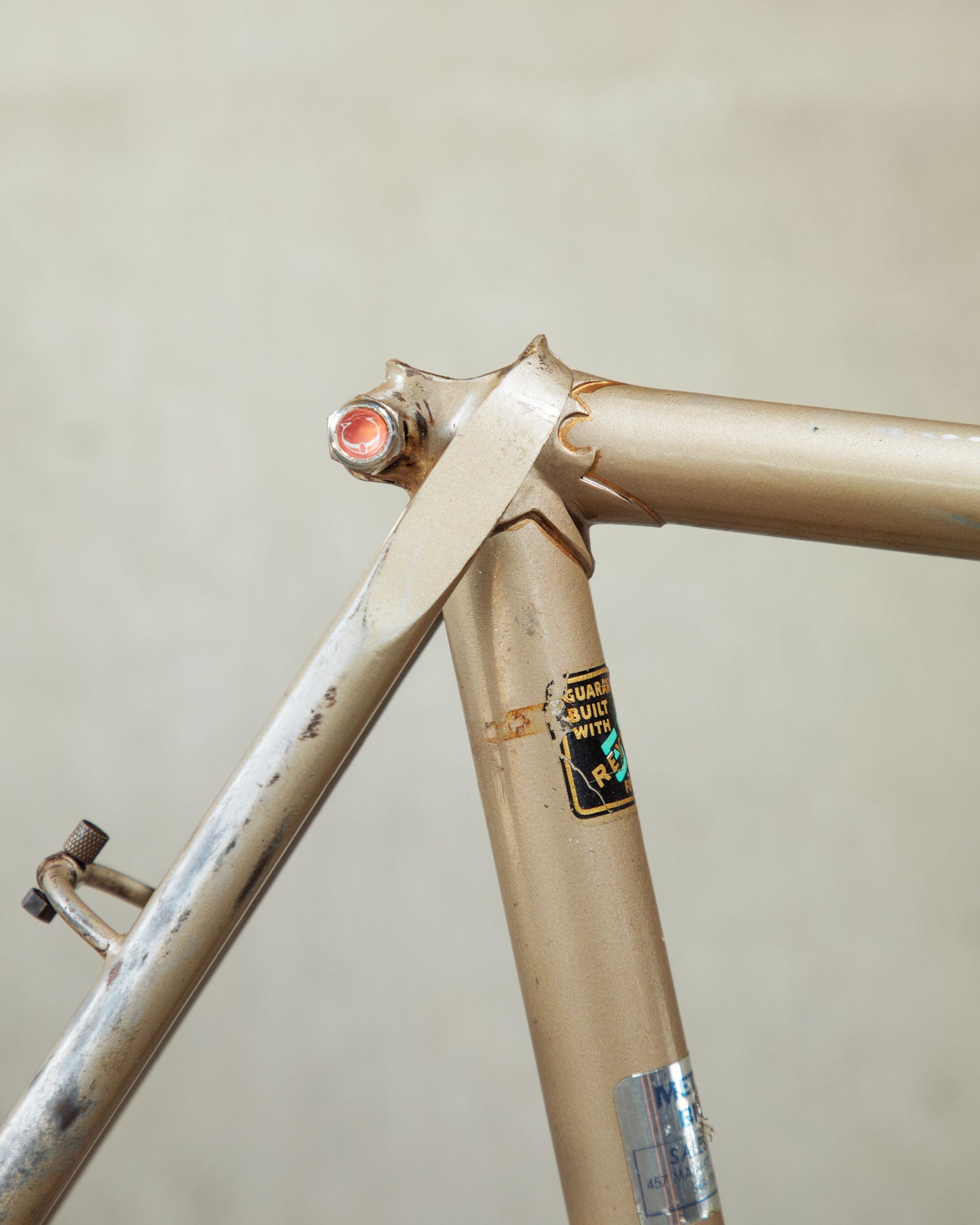 Raleigh International