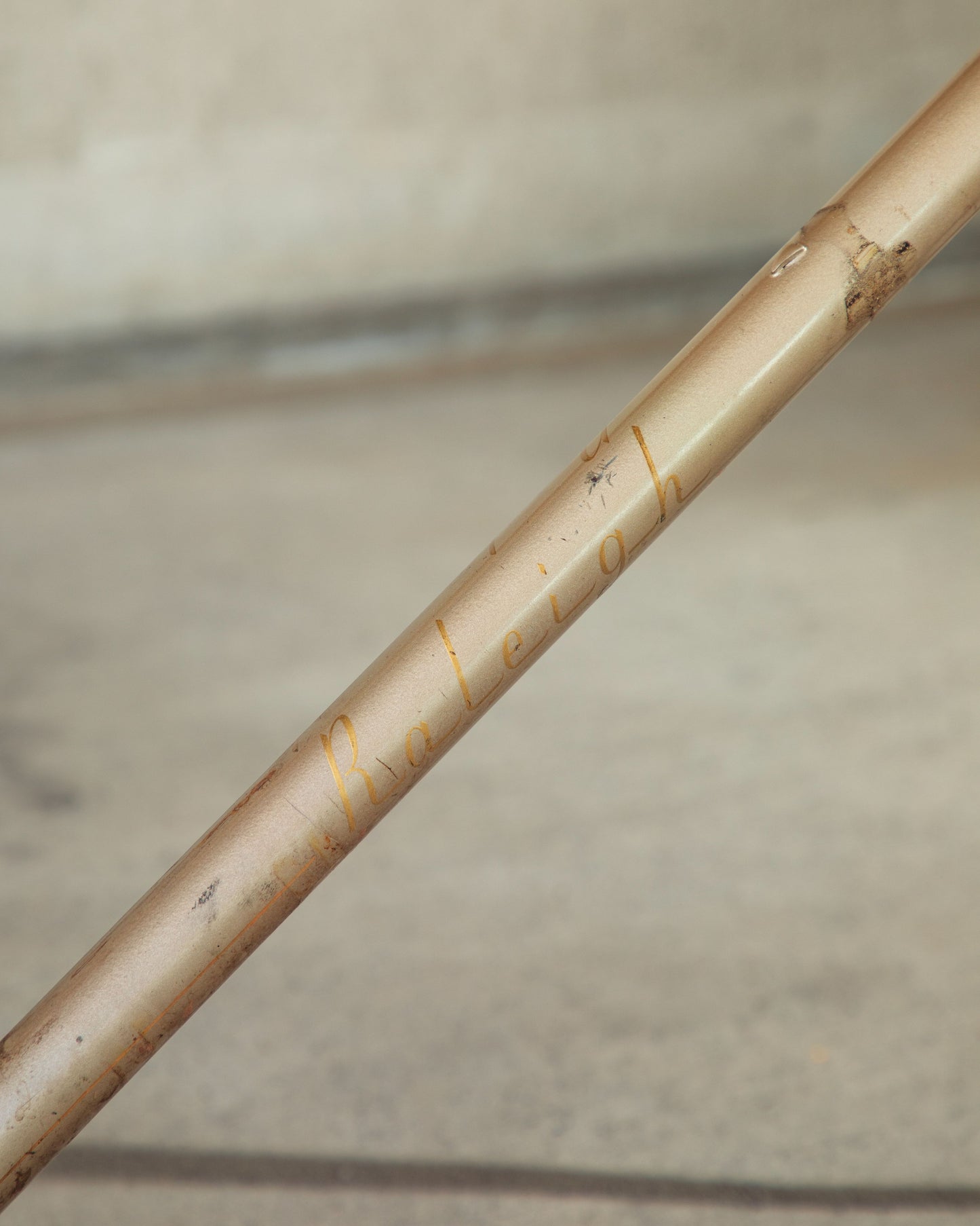 Raleigh International