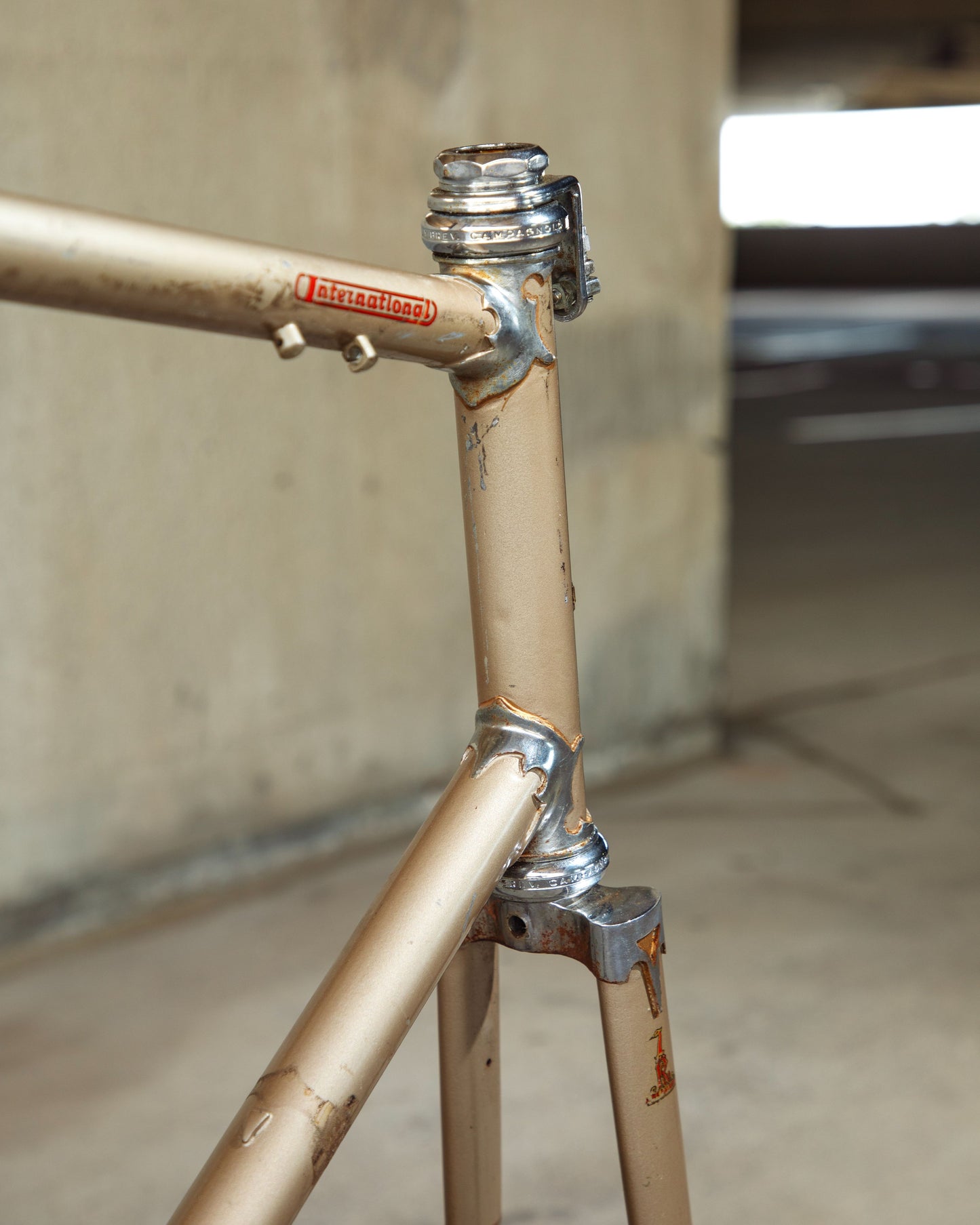 Raleigh International