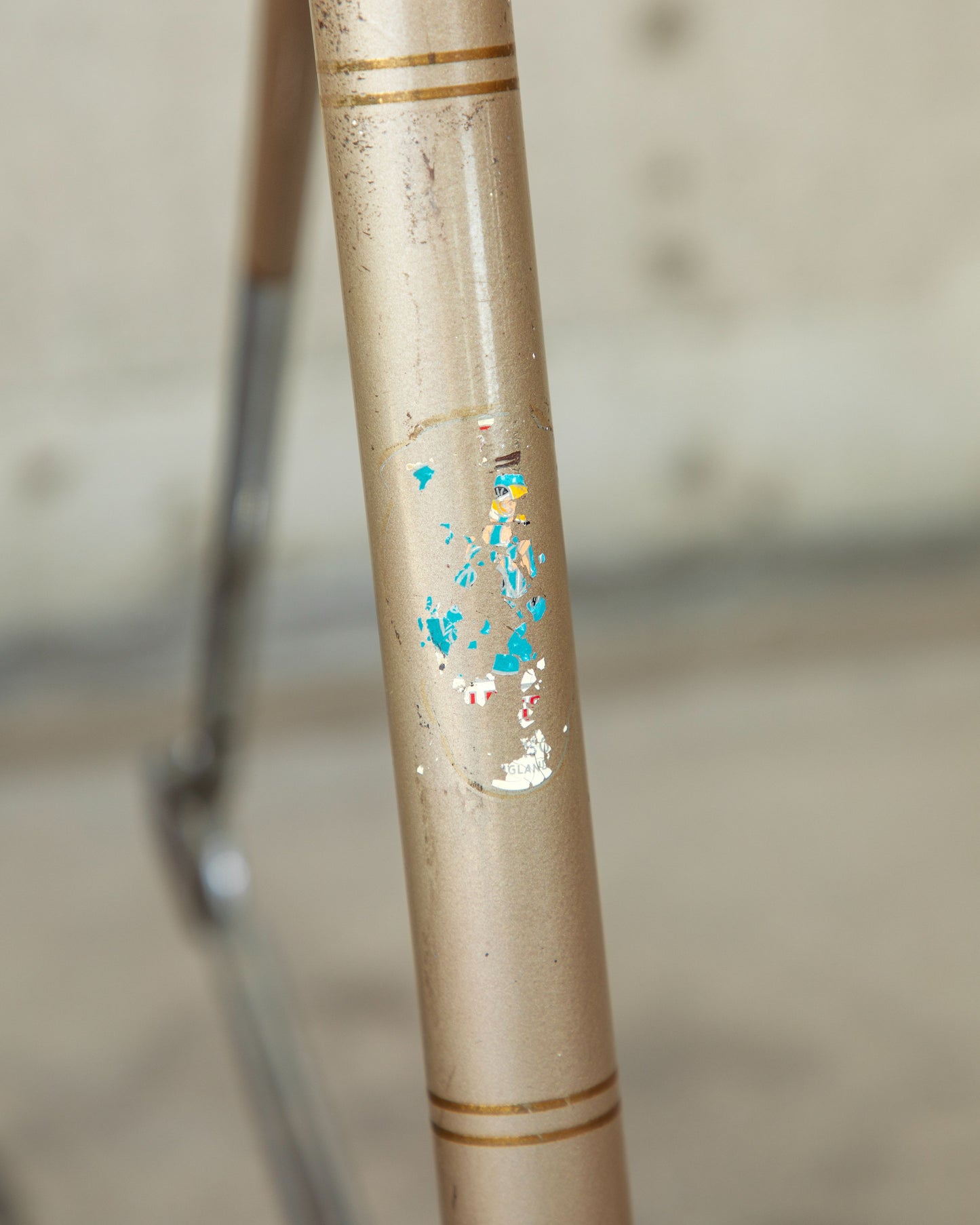 Raleigh International