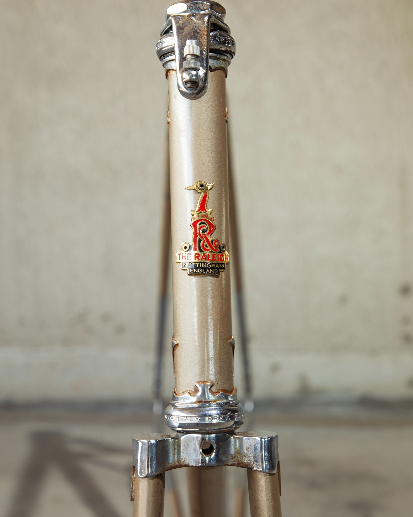 Raleigh International