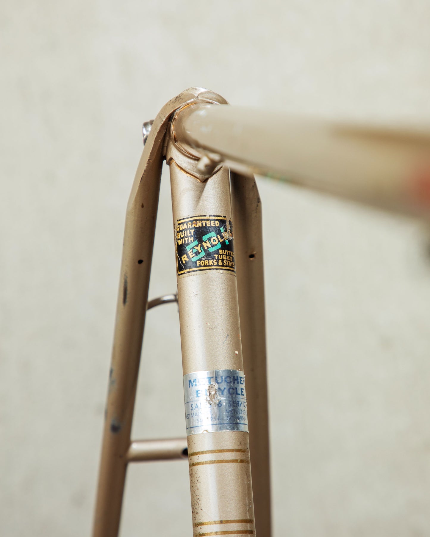 Raleigh International